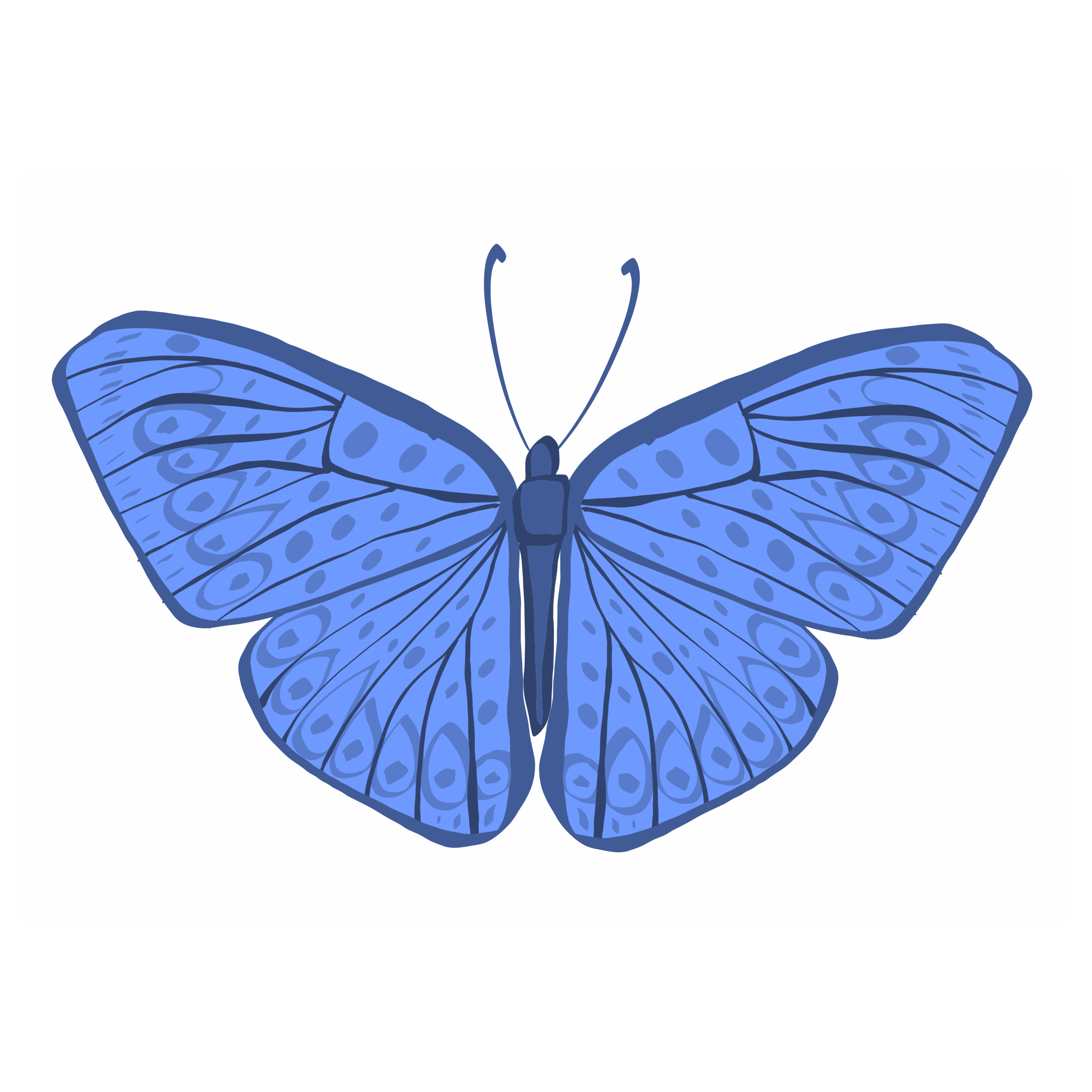 IMG_0362.PNG