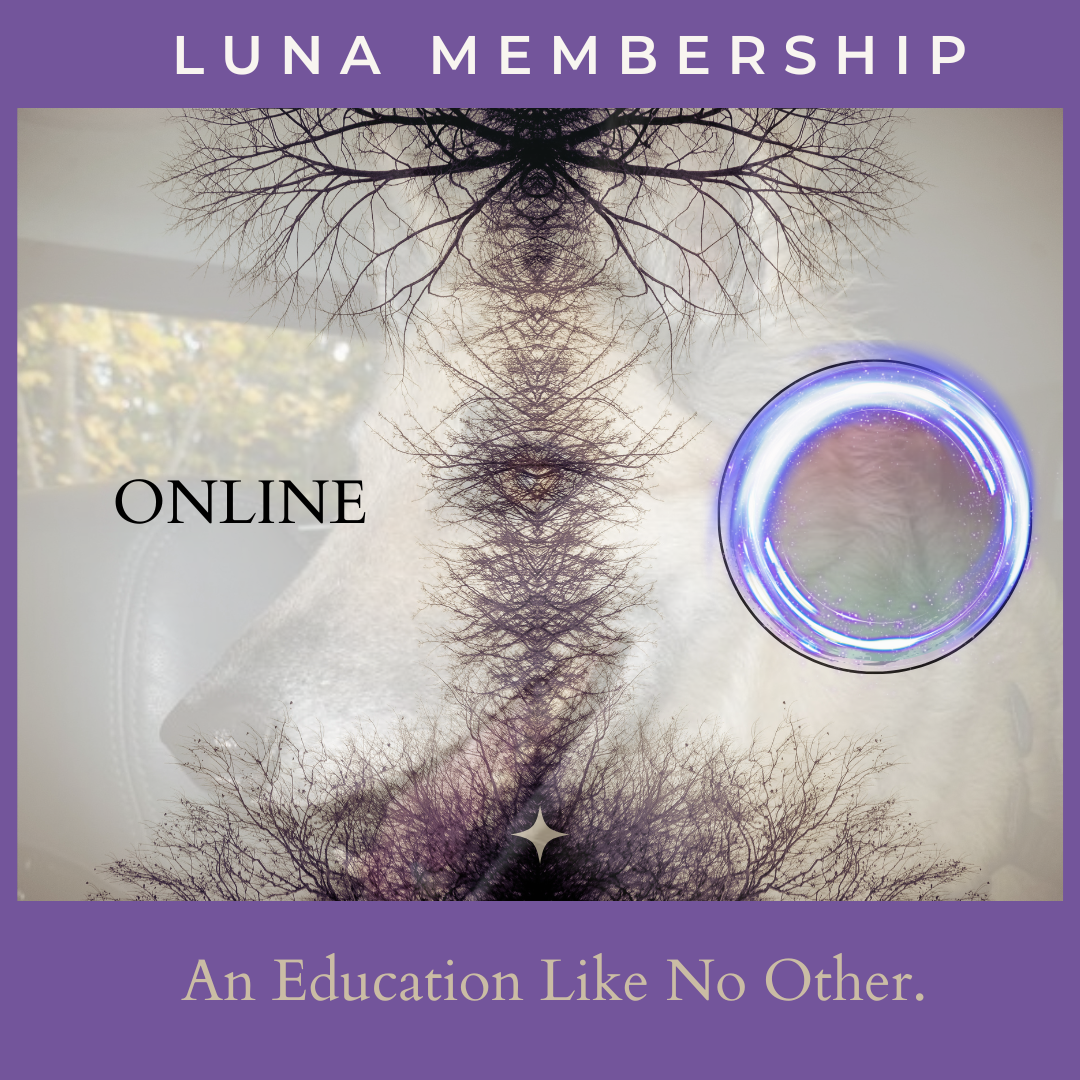 Opal Luna’s Membership