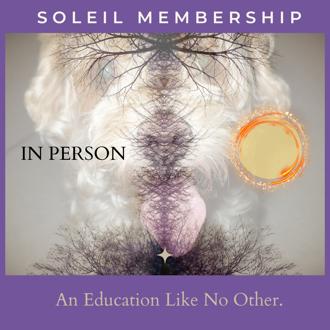 Soleil Membership
