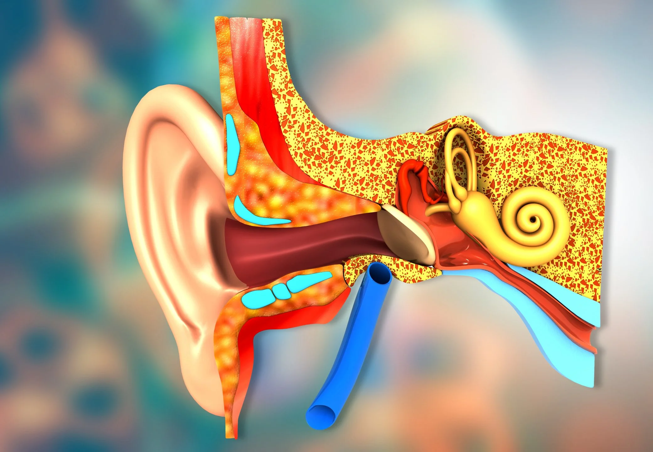 Can You Reverse Hearing Loss?