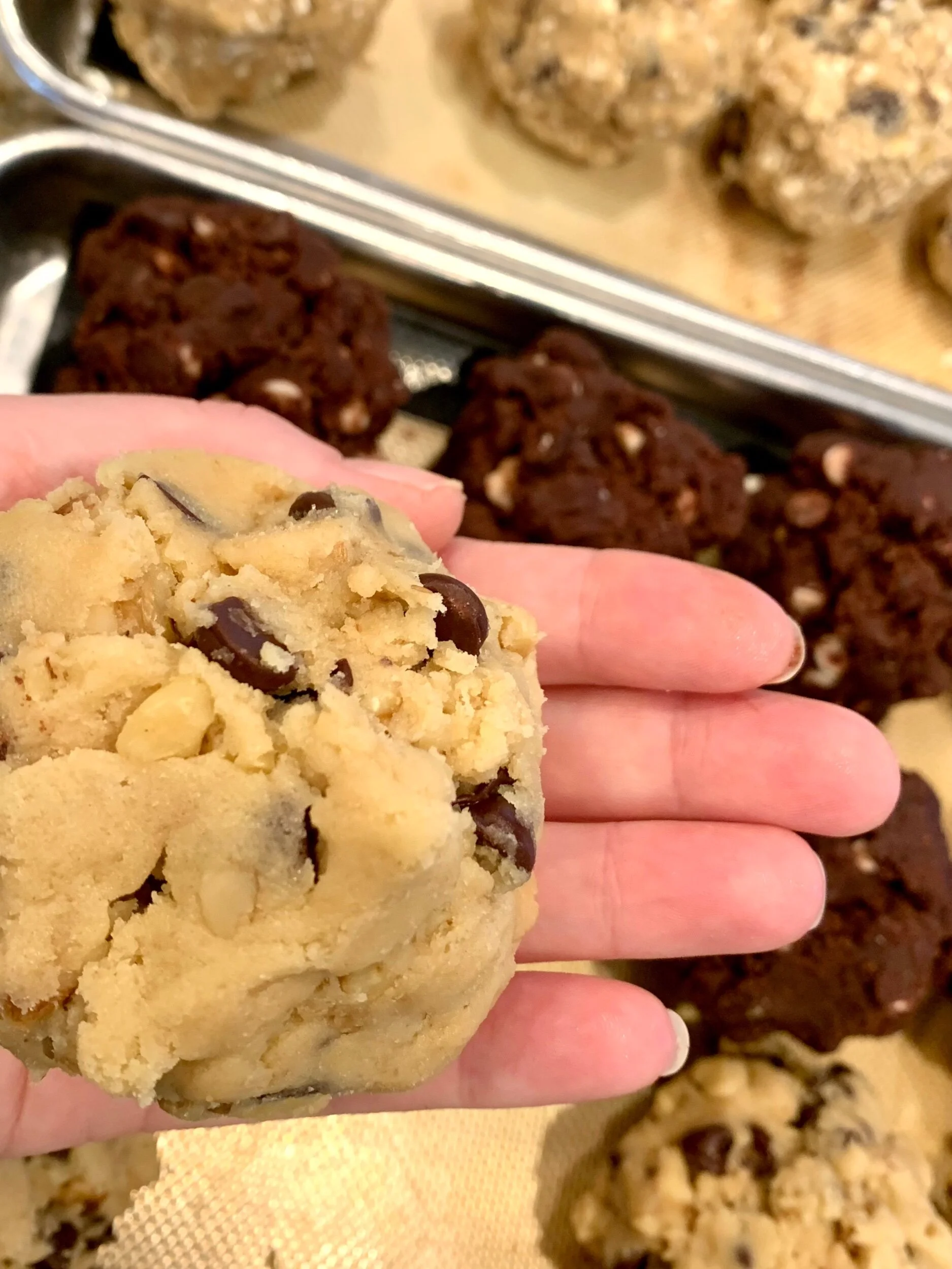 96B1913A-8C07-47C8-80FD-BA9AA9A19602