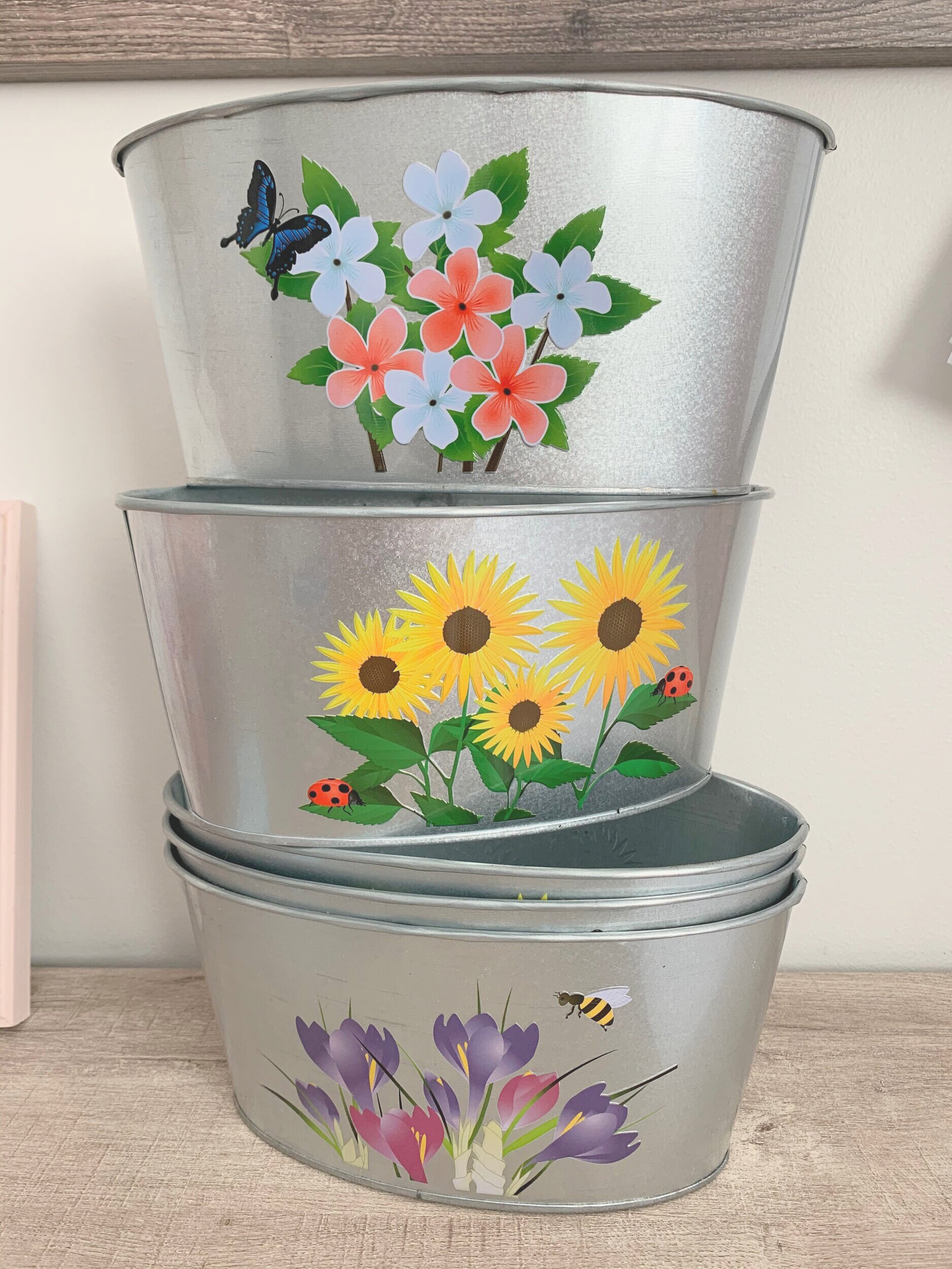 68729F26-D0AC-4DCF-8382-C45953D6302D