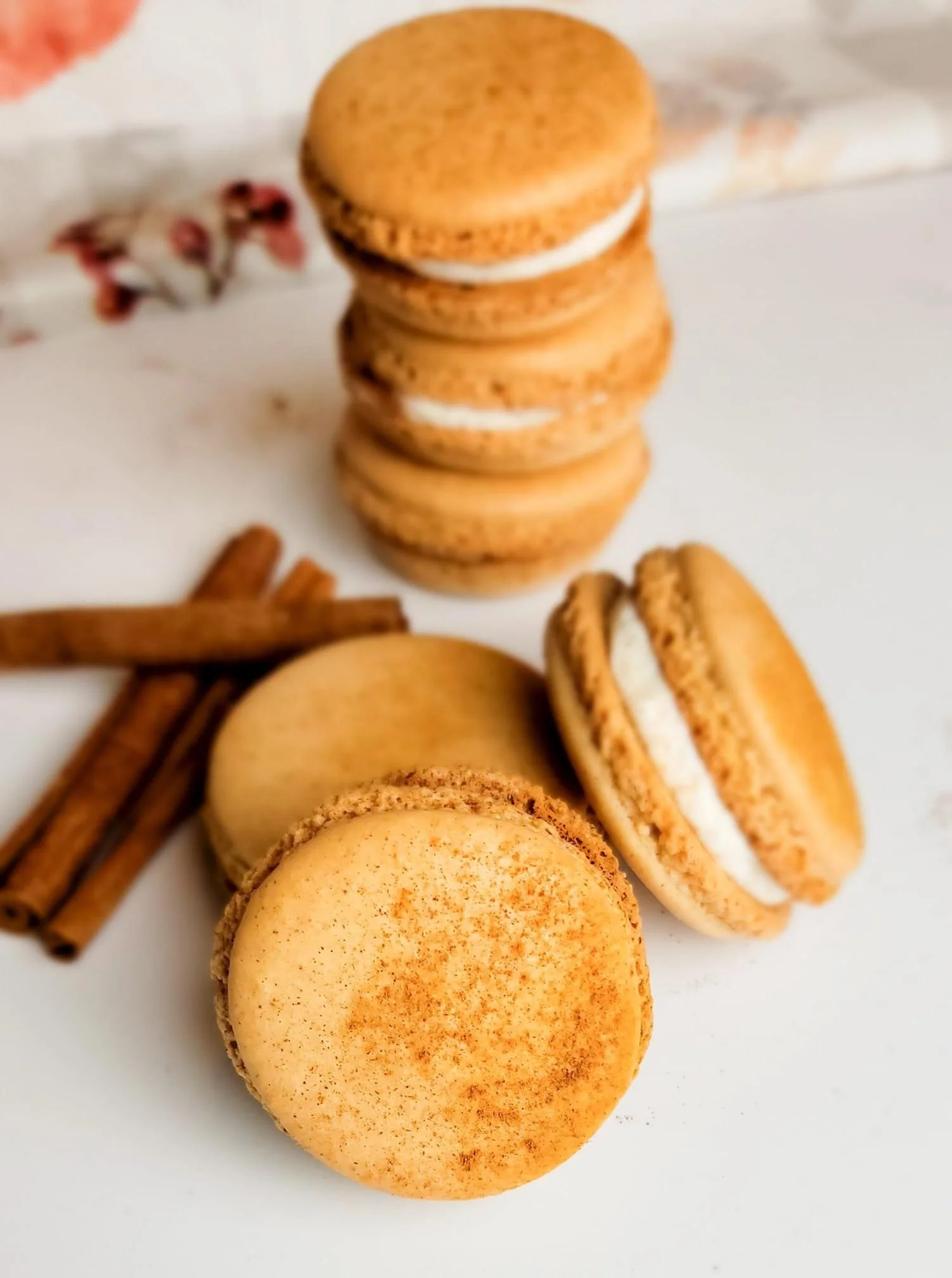 82337ED6-686B-4B0E-8522-72CDA47F284D