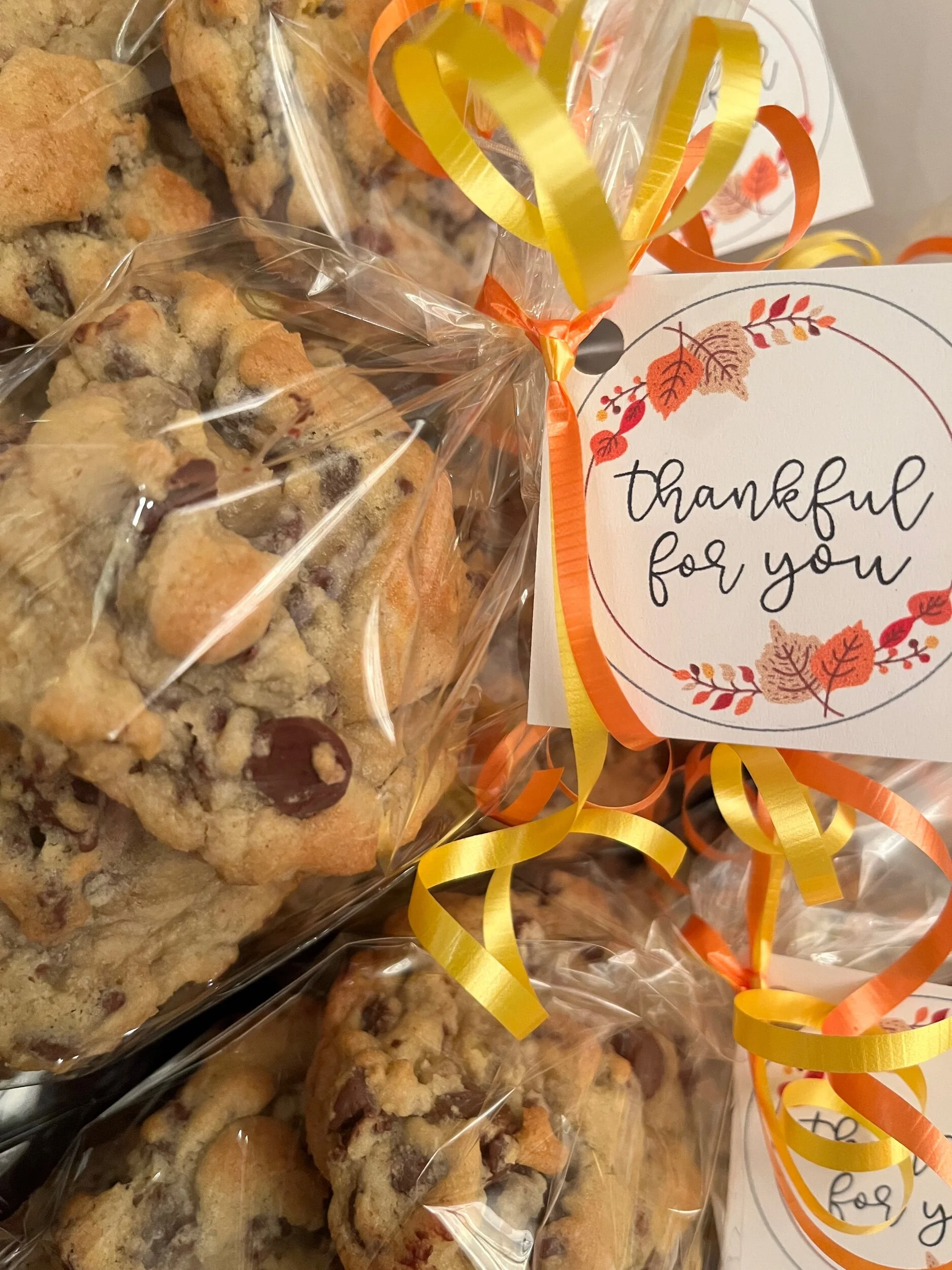 C2F3FEB2-FEE6-4A73-95DF-D664D40A63AD