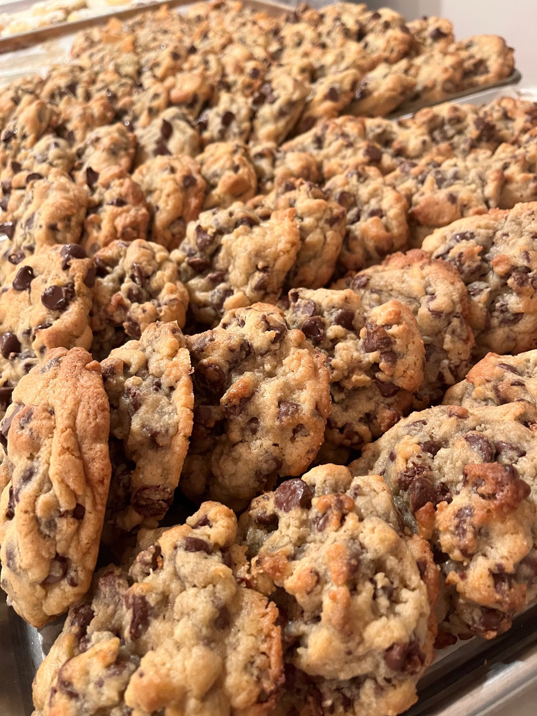 12A2A306-DA5A-450B-9A29-52C51B496797