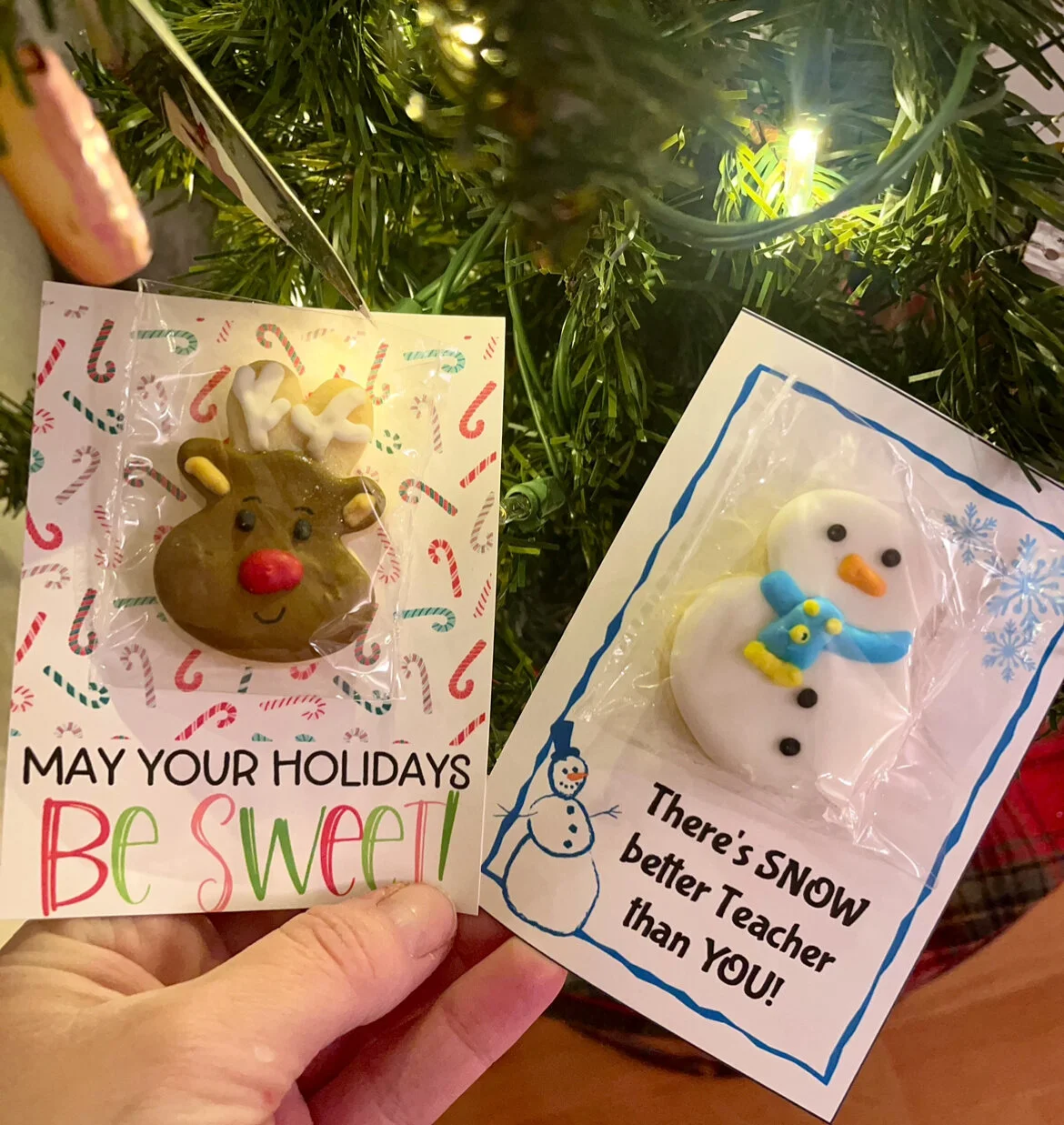 358101F0-9CF0-4599-901E-1B04E3D523BB