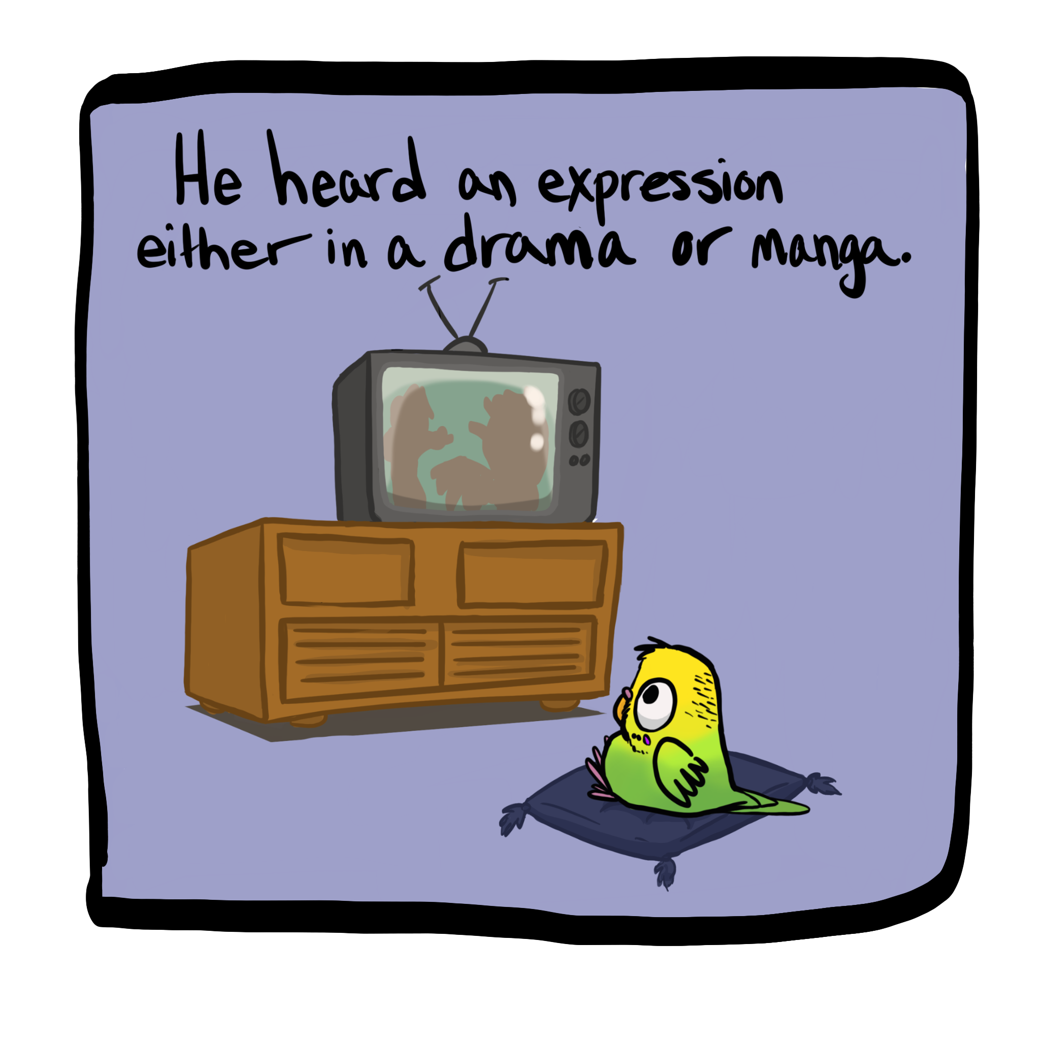 Pg8.PNG
