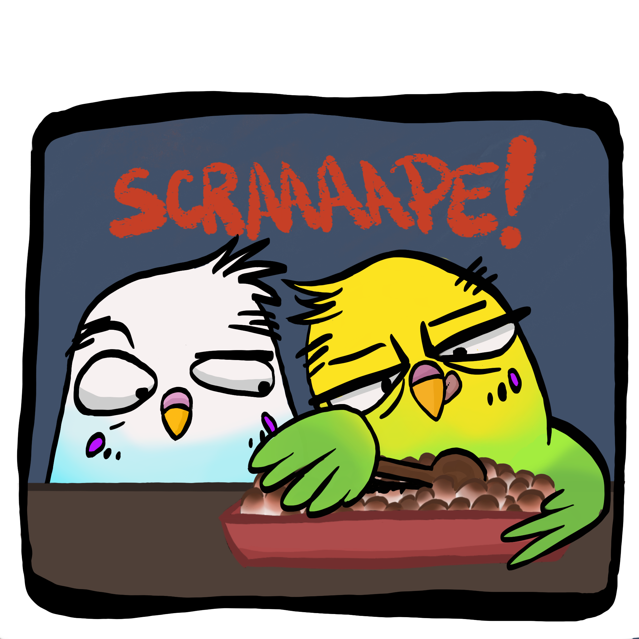 Pg17.PNG