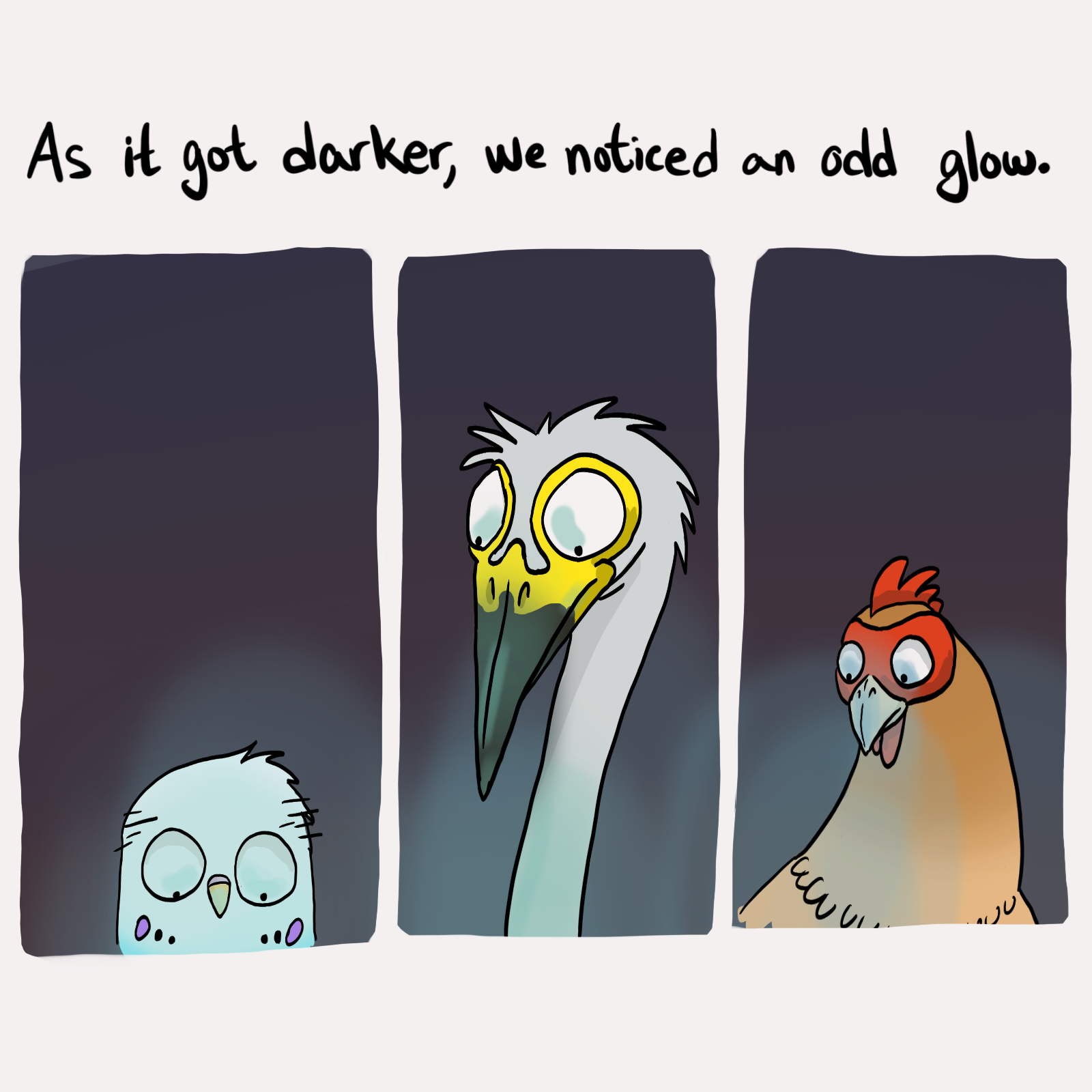 16.PNG