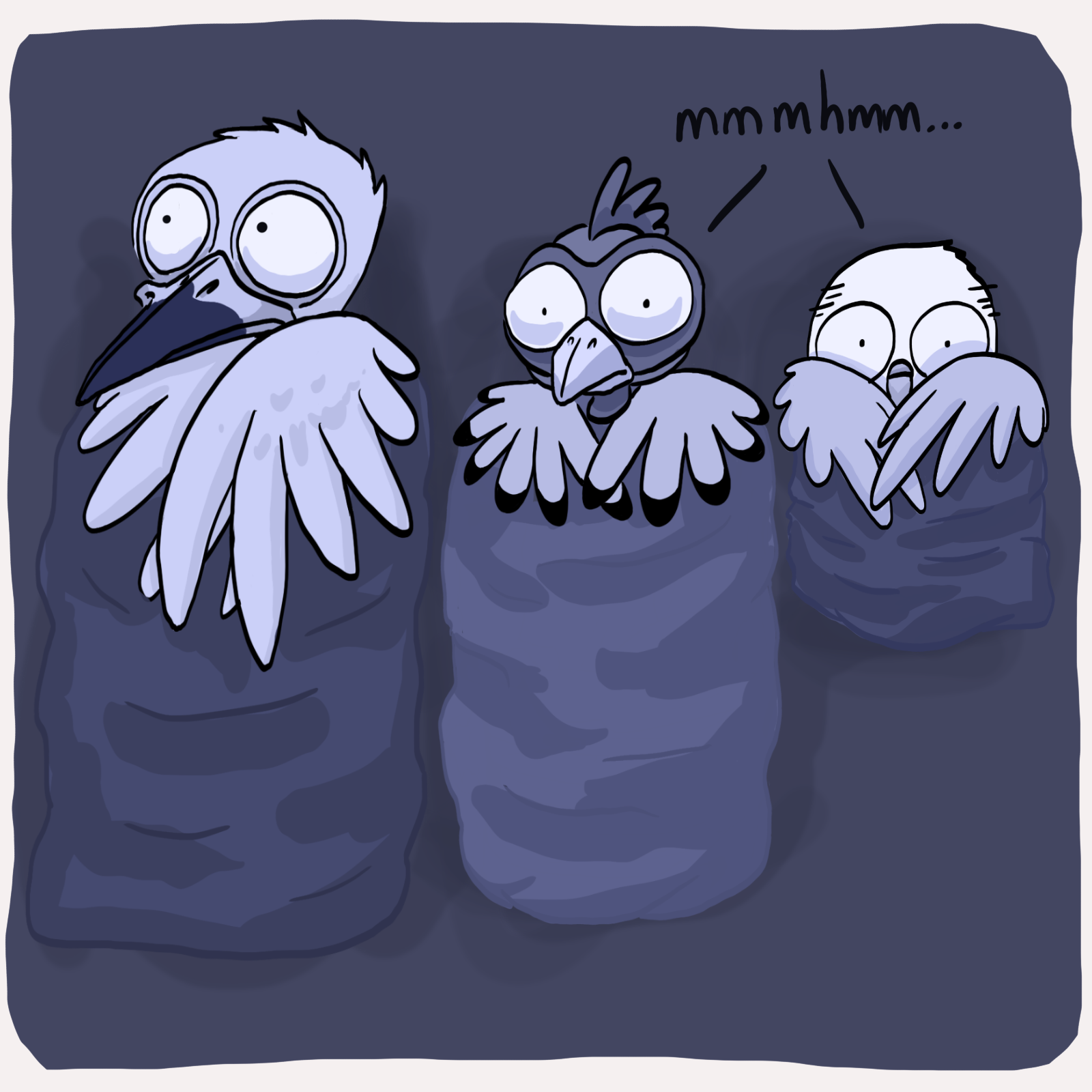 41.PNG