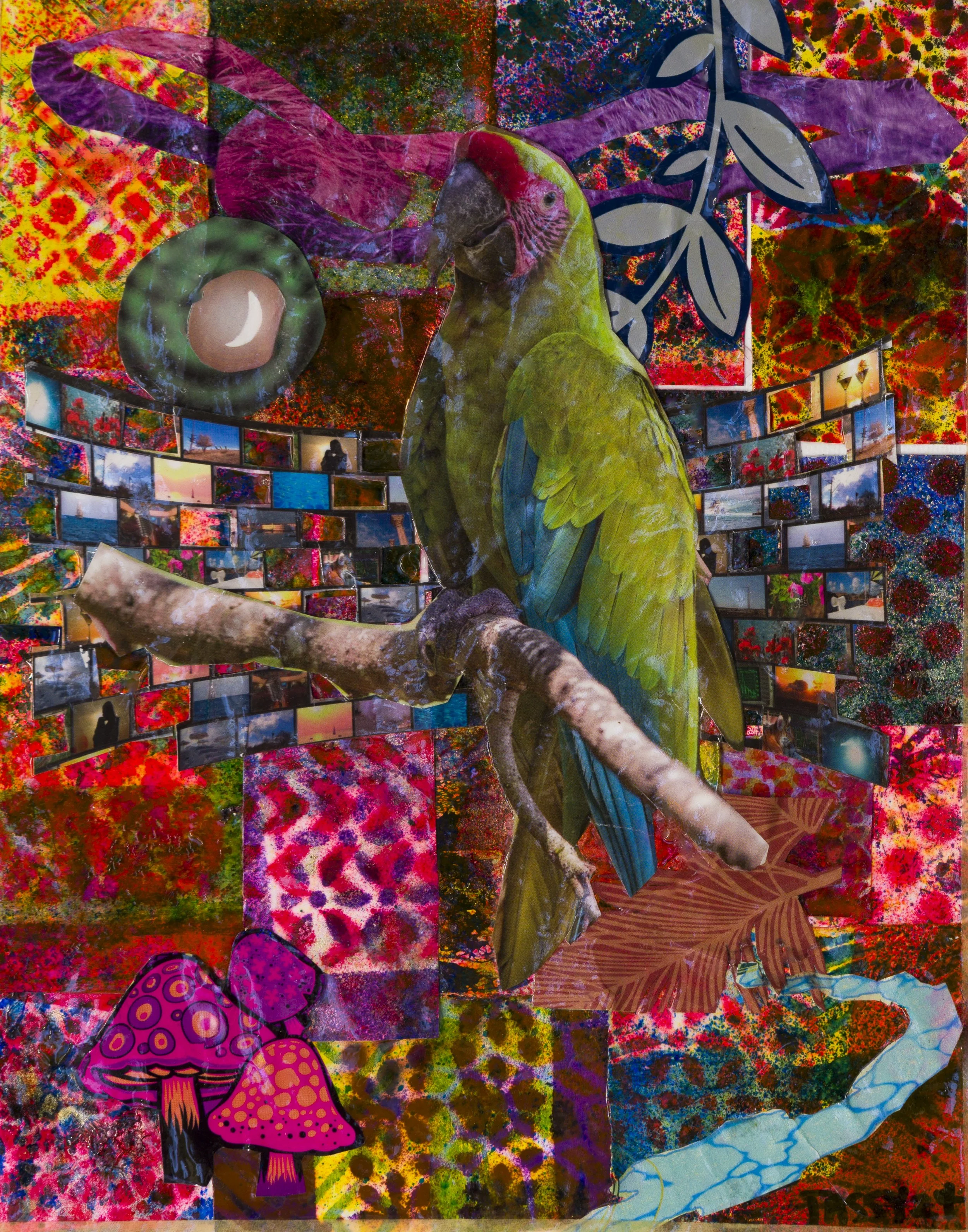 Parakeet Bathed in Vibrancy