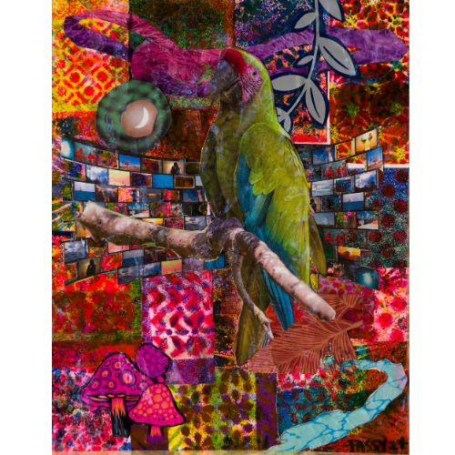 "Technicolor Parakeet"
