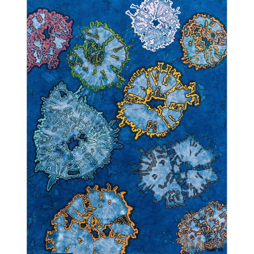 "Jellyfish"