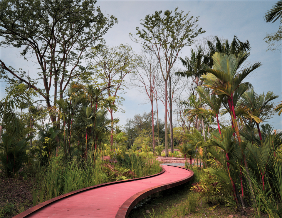 A planted landscape and winding walkway at Jurong Lake Gardens