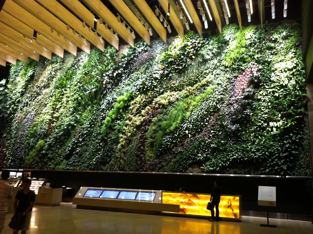 Rainforest Rhapsody indoor green wall at 6 Battery Road