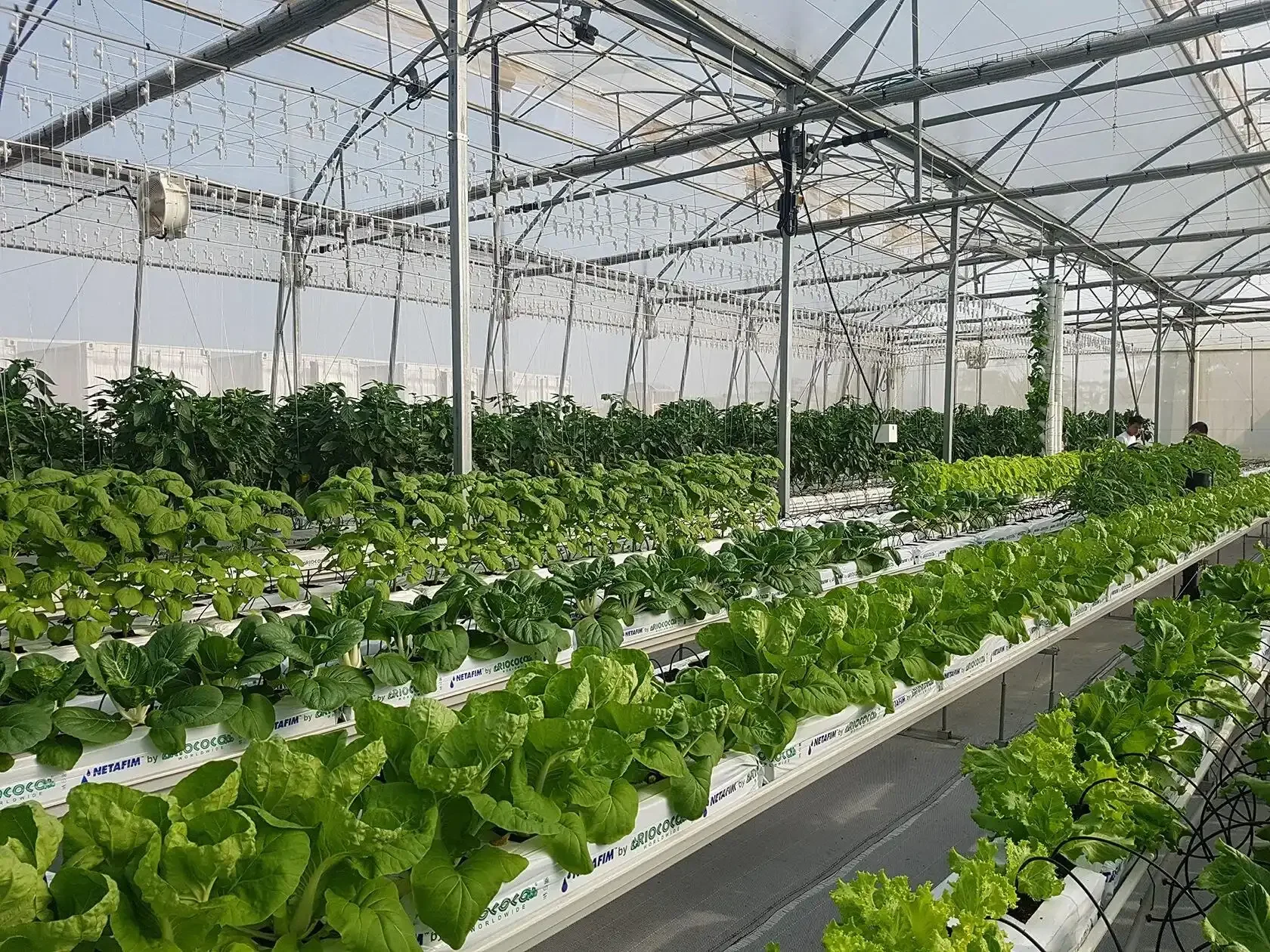 High-Tech Agriculture