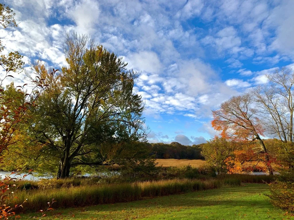 old lyme by the river.jpeg