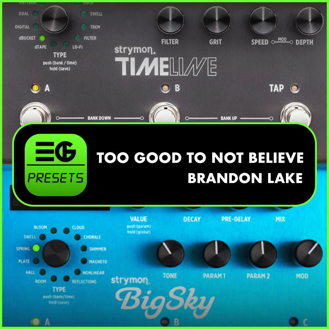 TGTNB PRESETS.jpg