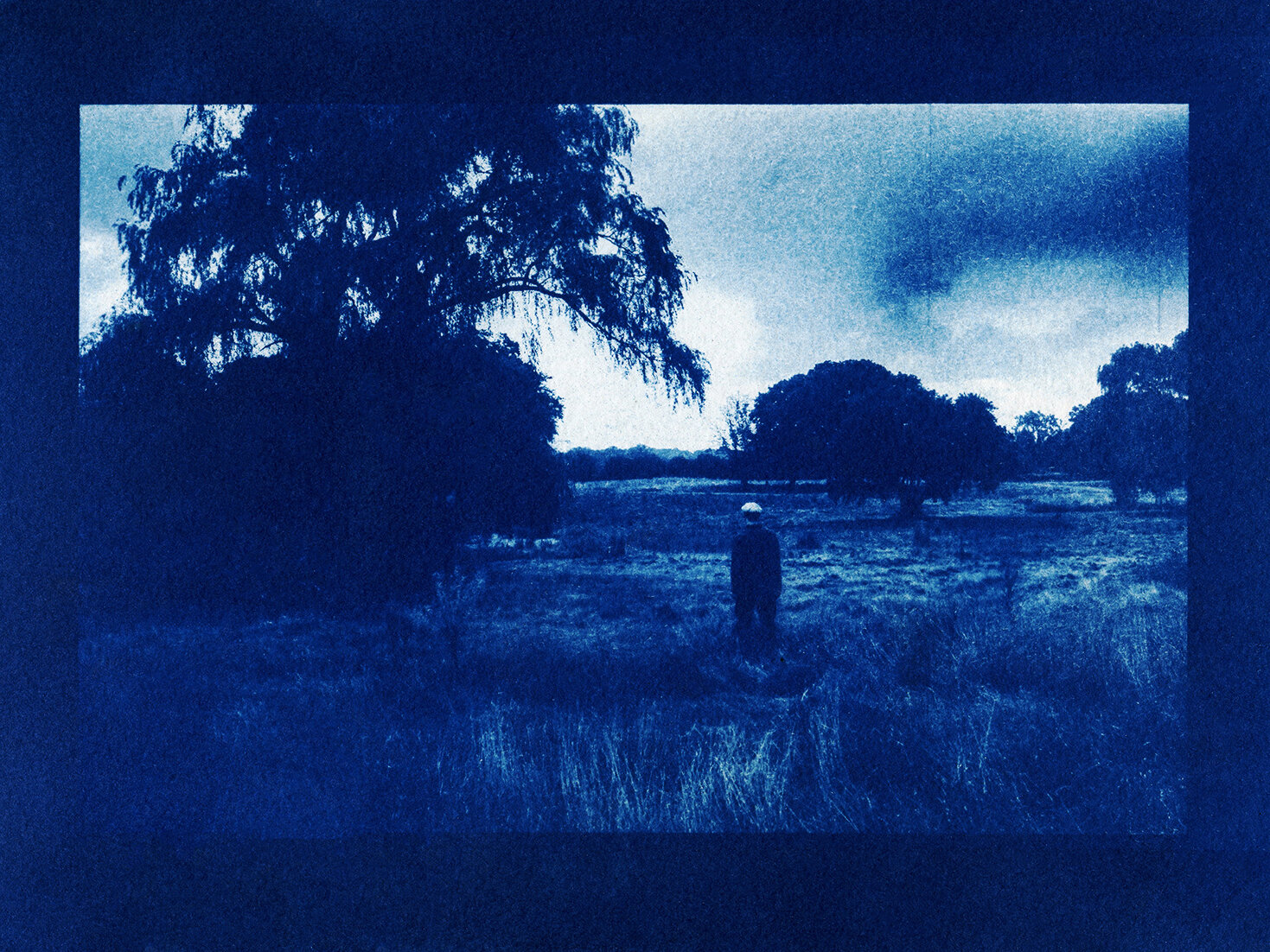  cyanotype on water color paper  7 x 5 inches  