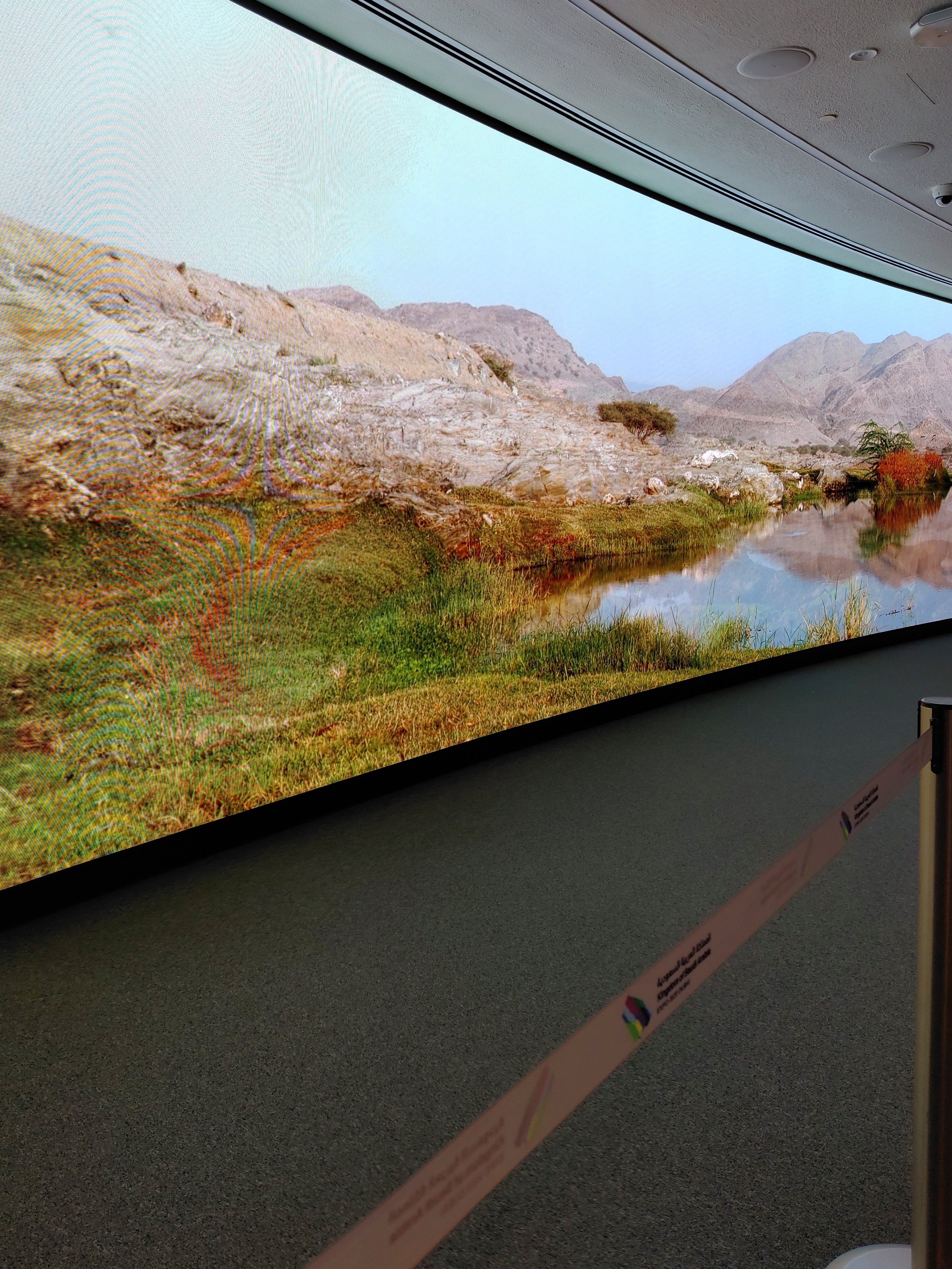 These large displays were everywhere in the expo and they really did a great job of showing the country's lands.
