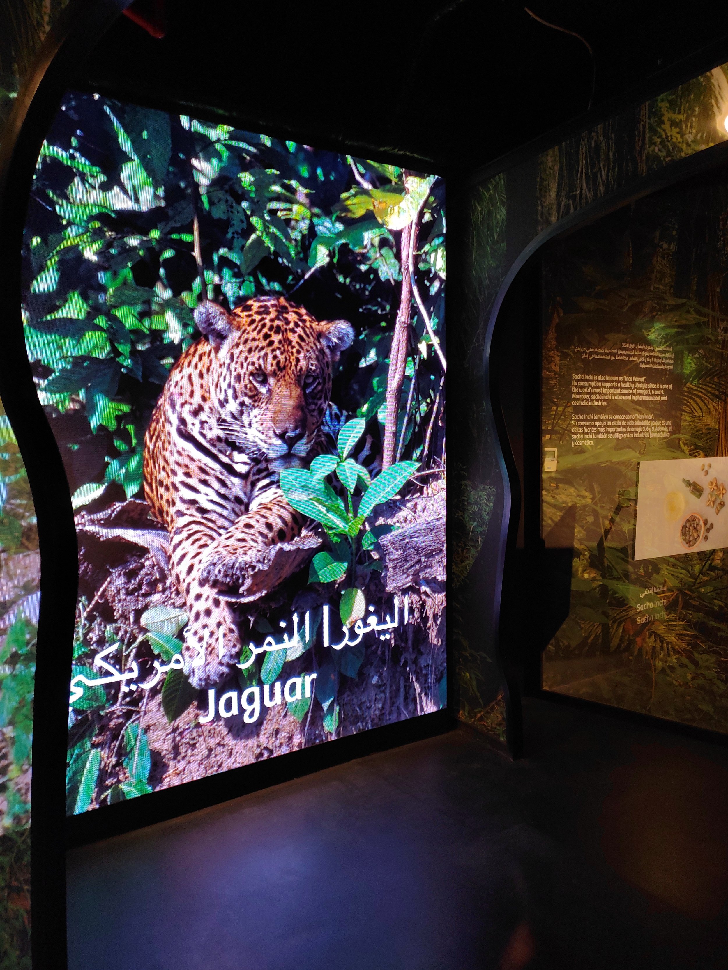 More digital displays to show off the animals