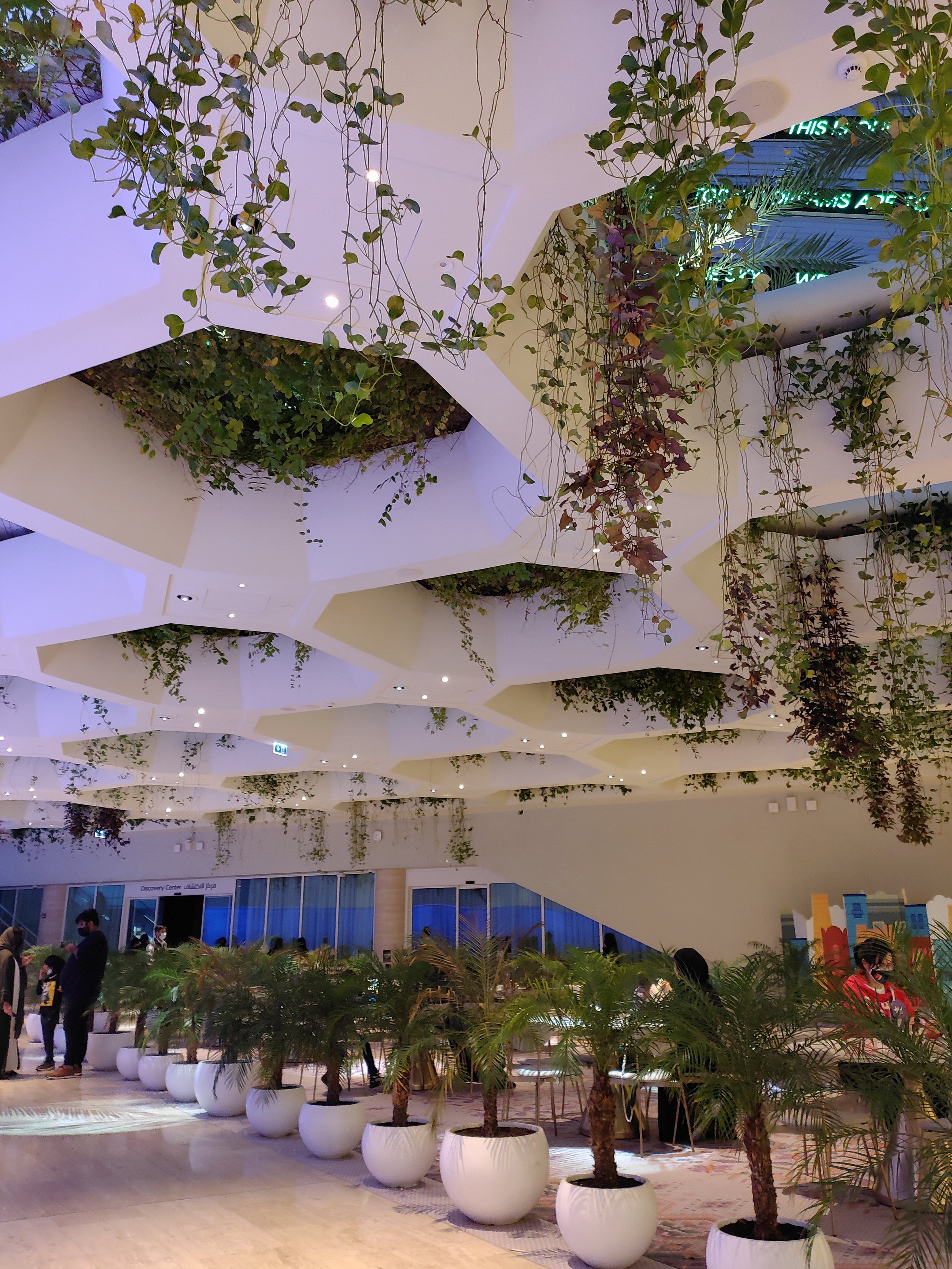 Just walking below a hanging garden. Saudi Arabia really outdid themselves.