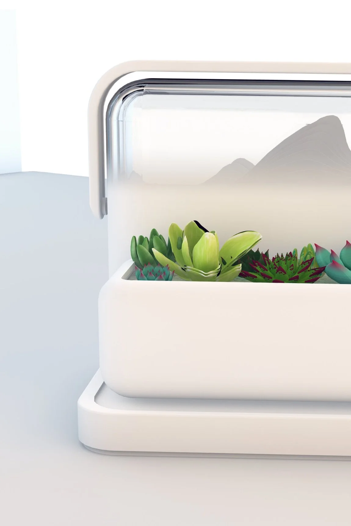watering+assisant+2.jpg