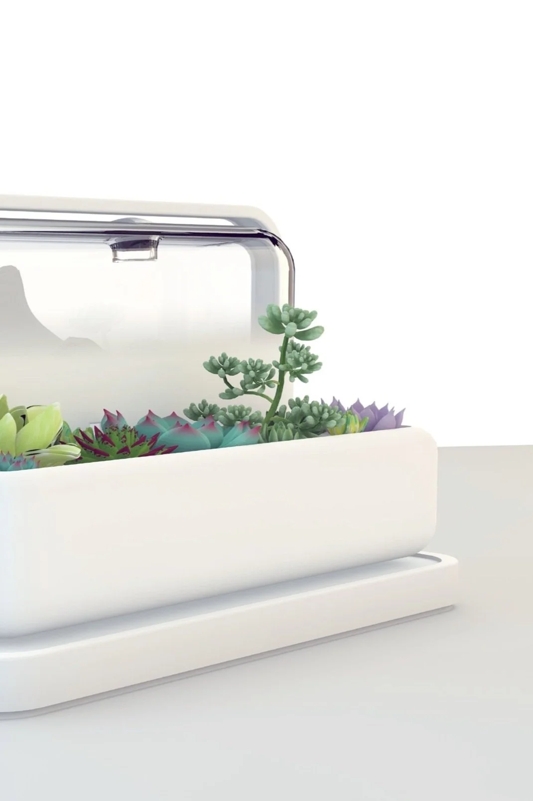 watering%2Bassisant%2B1.jpg
