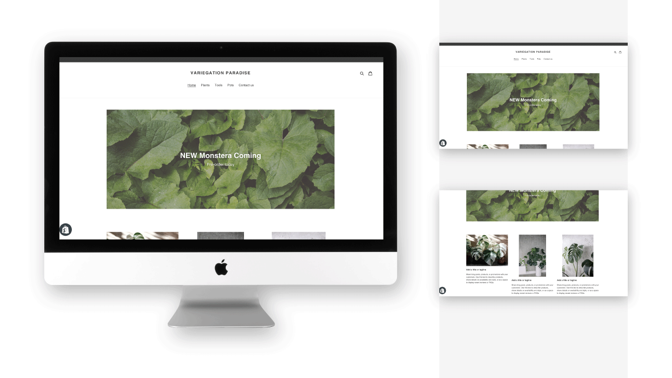 plant-web-1.gif