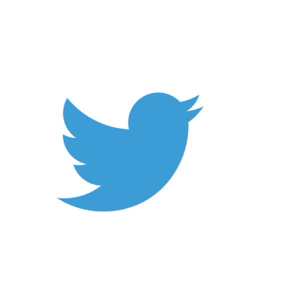 Twitter_Logo-600x600.png