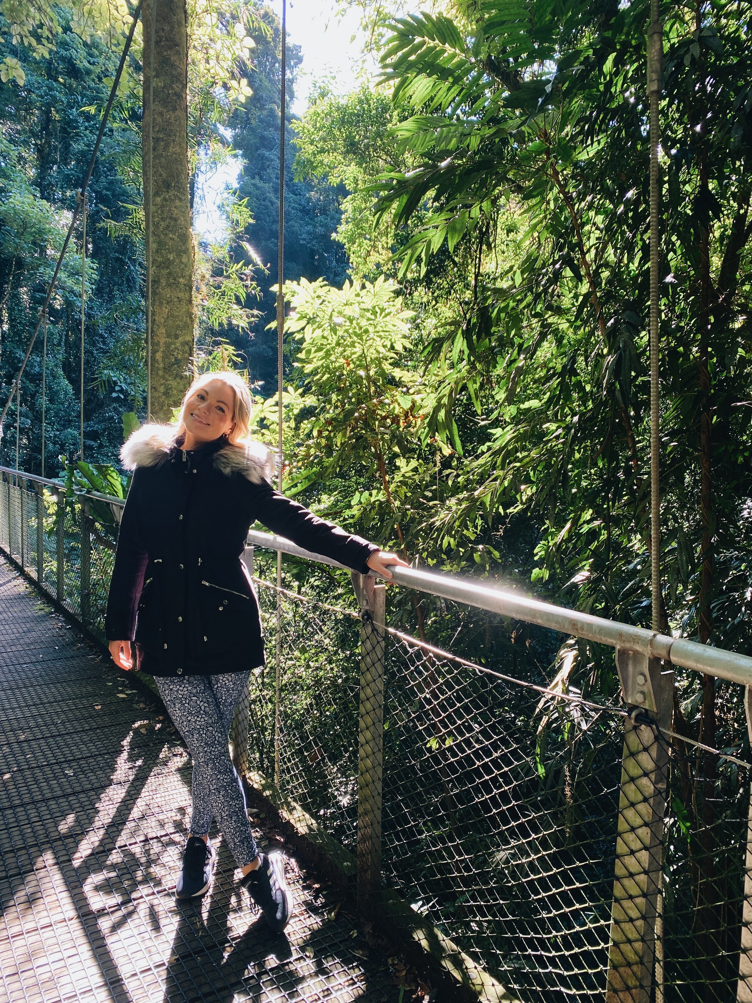 Kelly de Martin Dorrigo Rainforest National Park 2.JPG