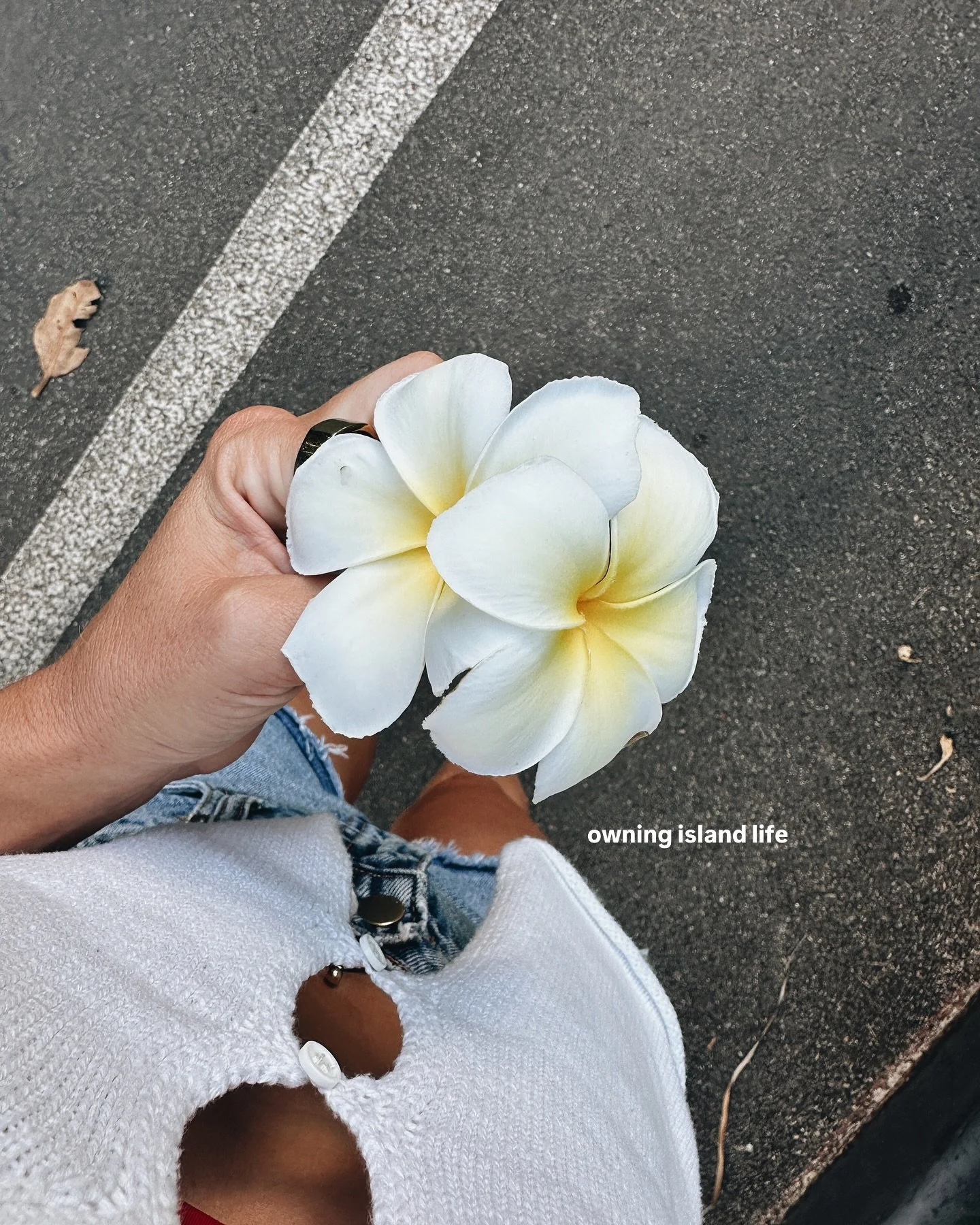 Yes, it’s been over two months since Hawaii. Yes, I’m still posting about it. ๐