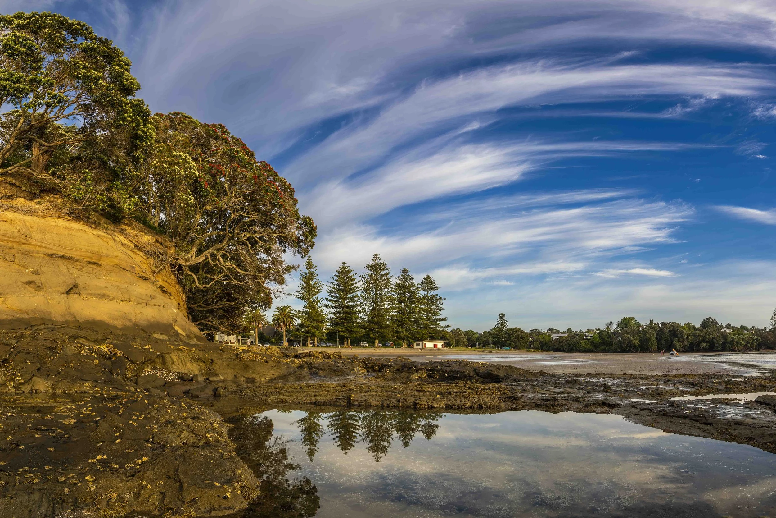 KTRIGGS_Waiake_14.jpg