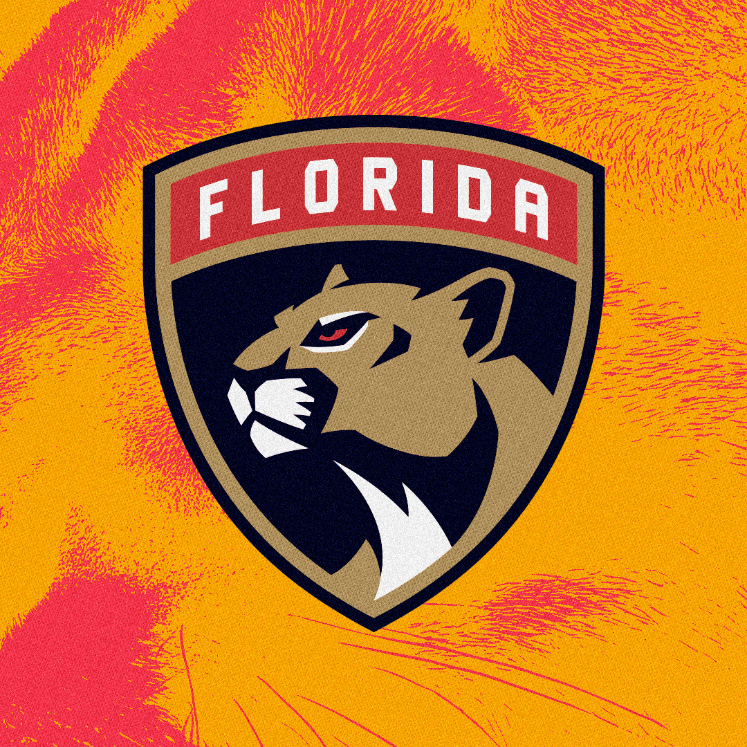 25–26 Florida Panthers — Theme Night Flips