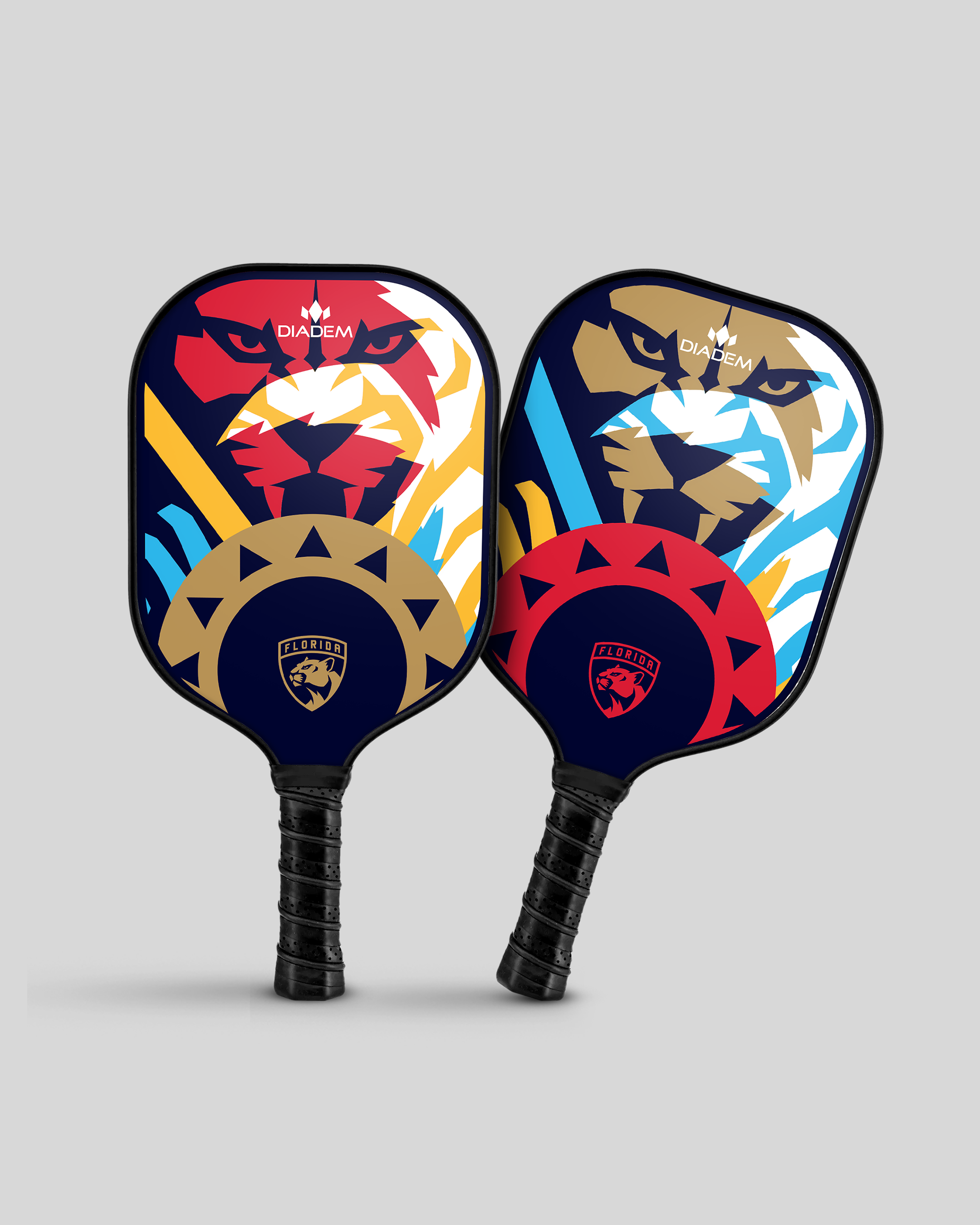 Florida Panthers – 25–26 Season Assets