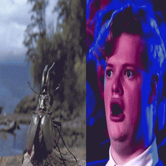 For anyone who thought beetles are heavy, earthy and probably unable to fly.