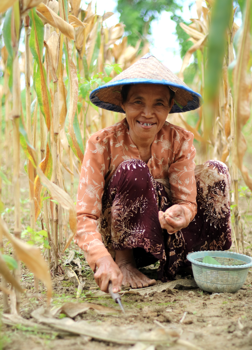Build a Regenerative Farm