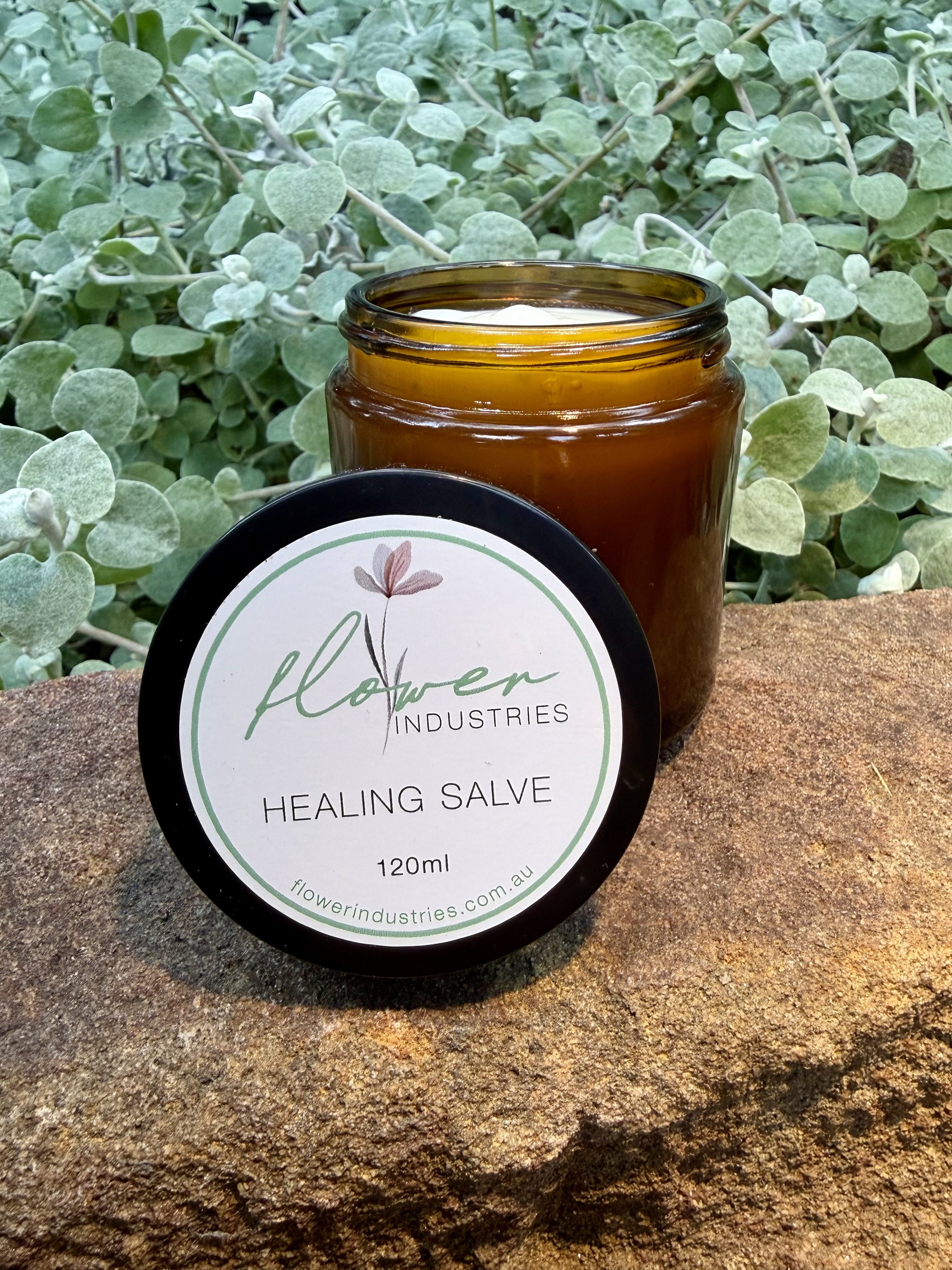 Healing Salve.jpeg