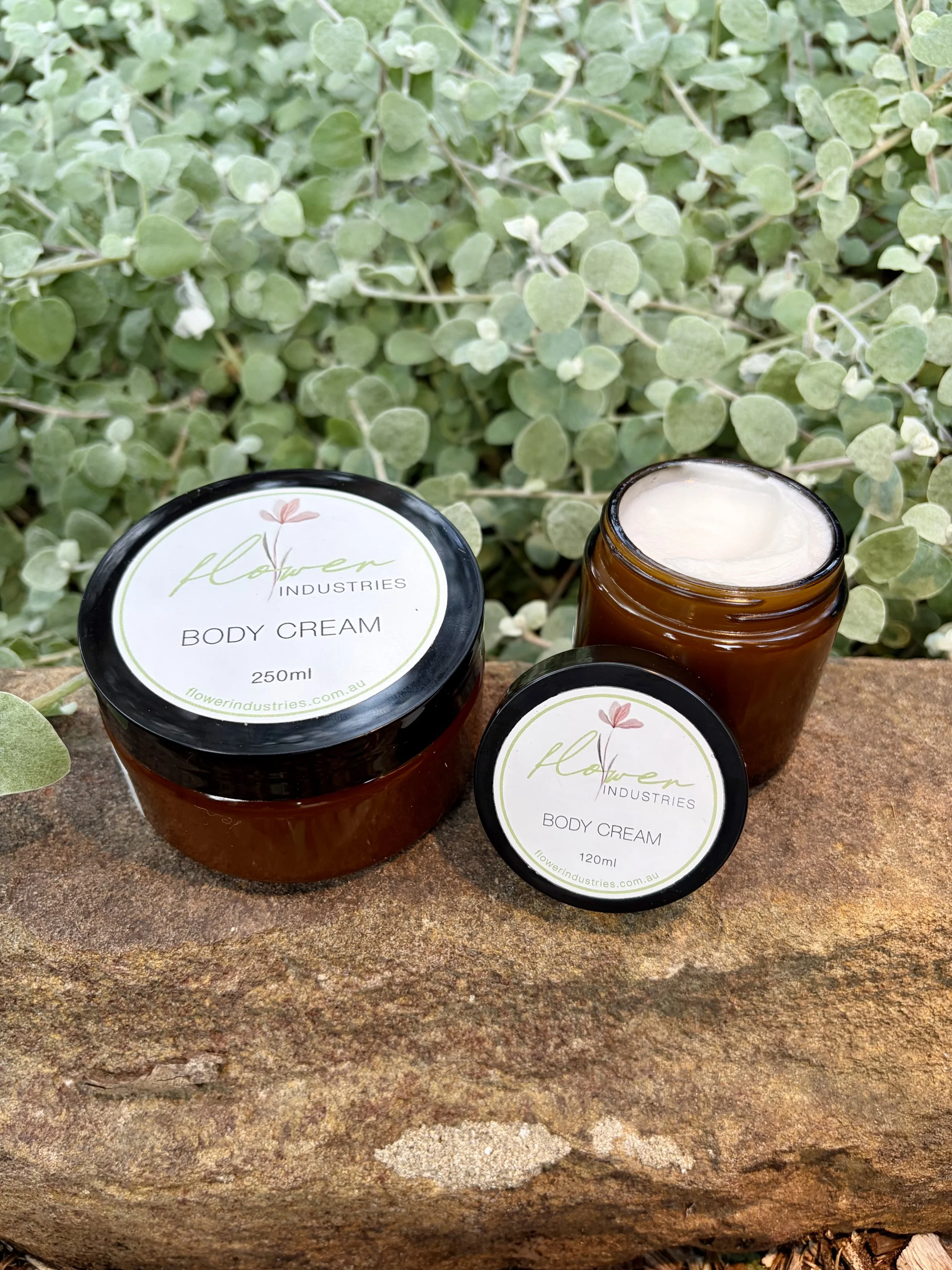 Body Cream.jpeg