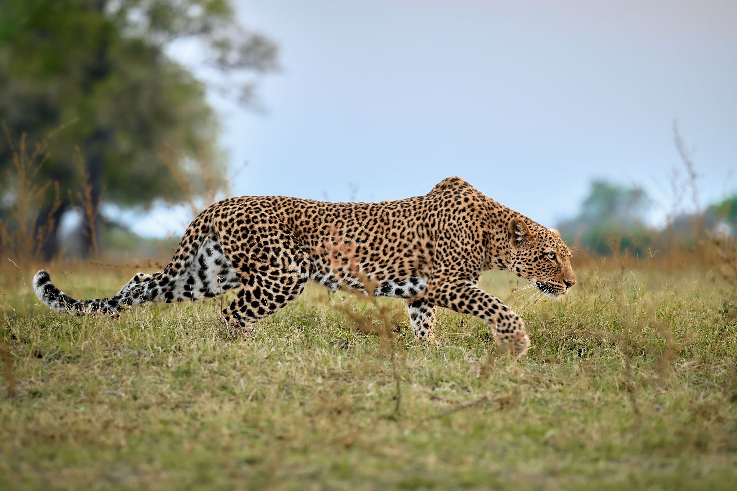 241007_ZMB_3542 3_HQ_SCALED.jpg