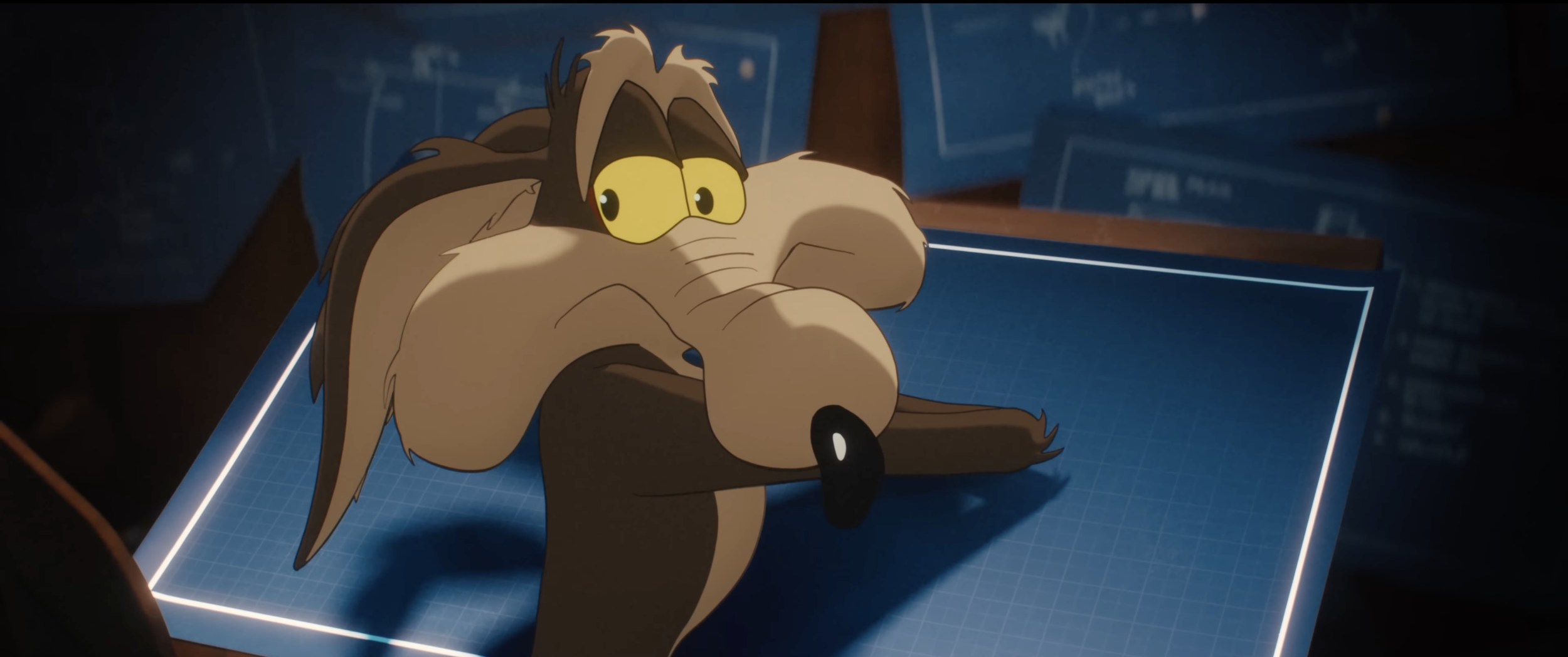 CVA_03.png