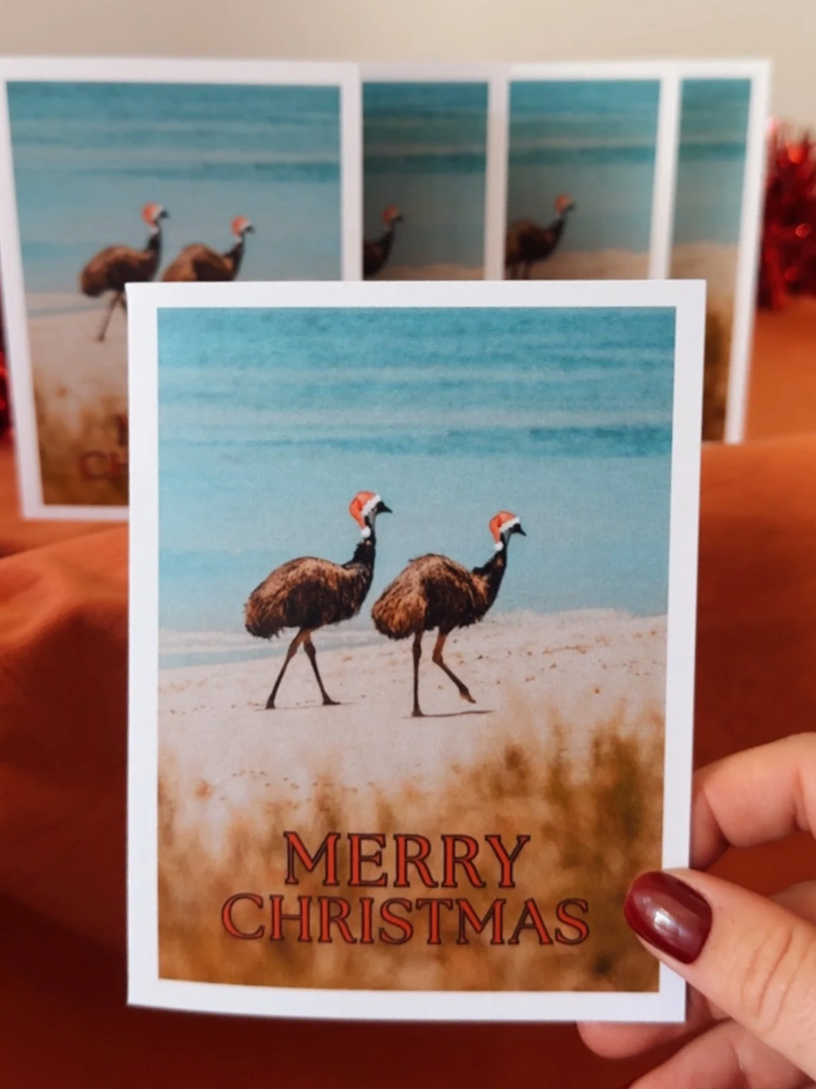 Christmas Cards (5pack)