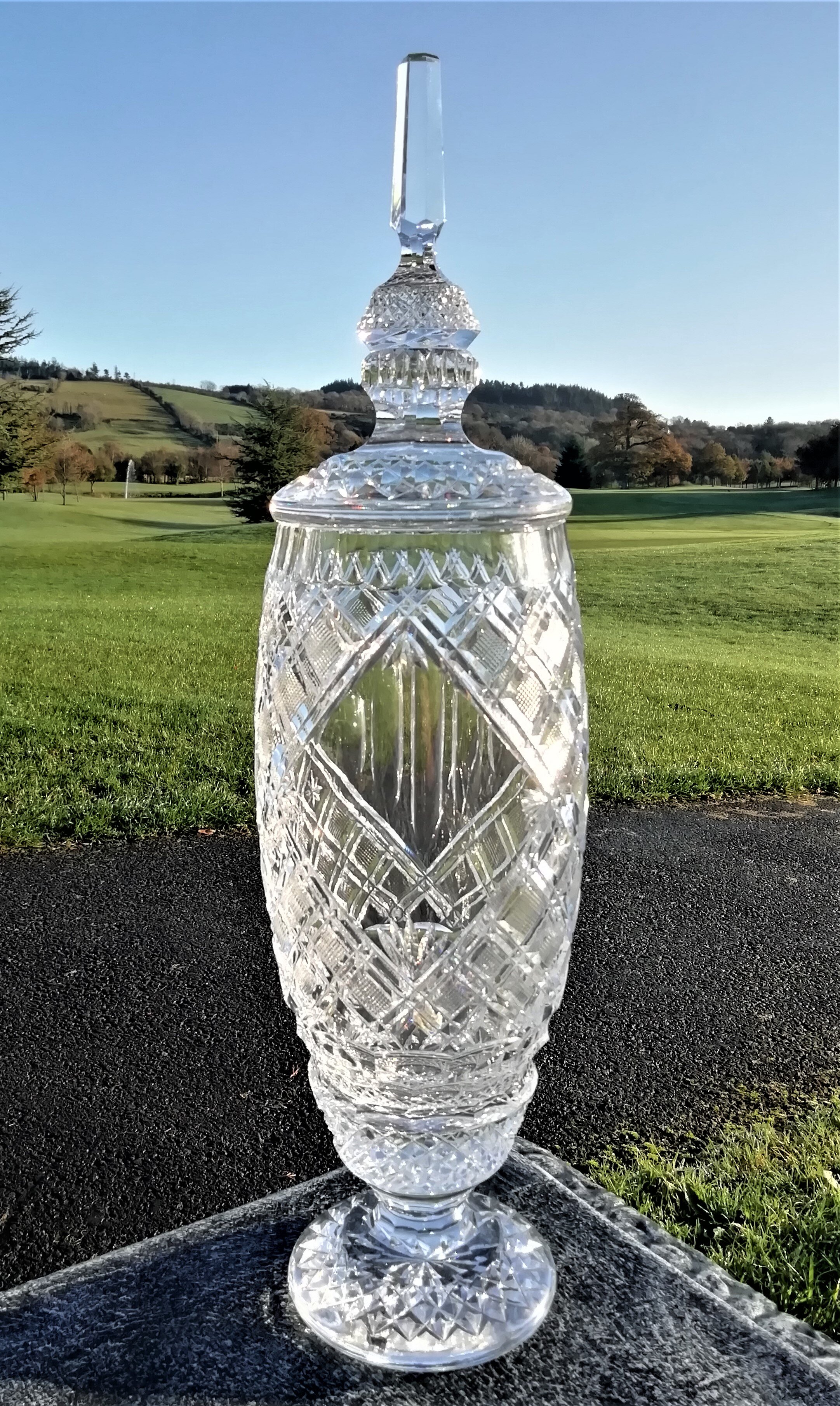 Arena Crystal Apollo trophy.jpg