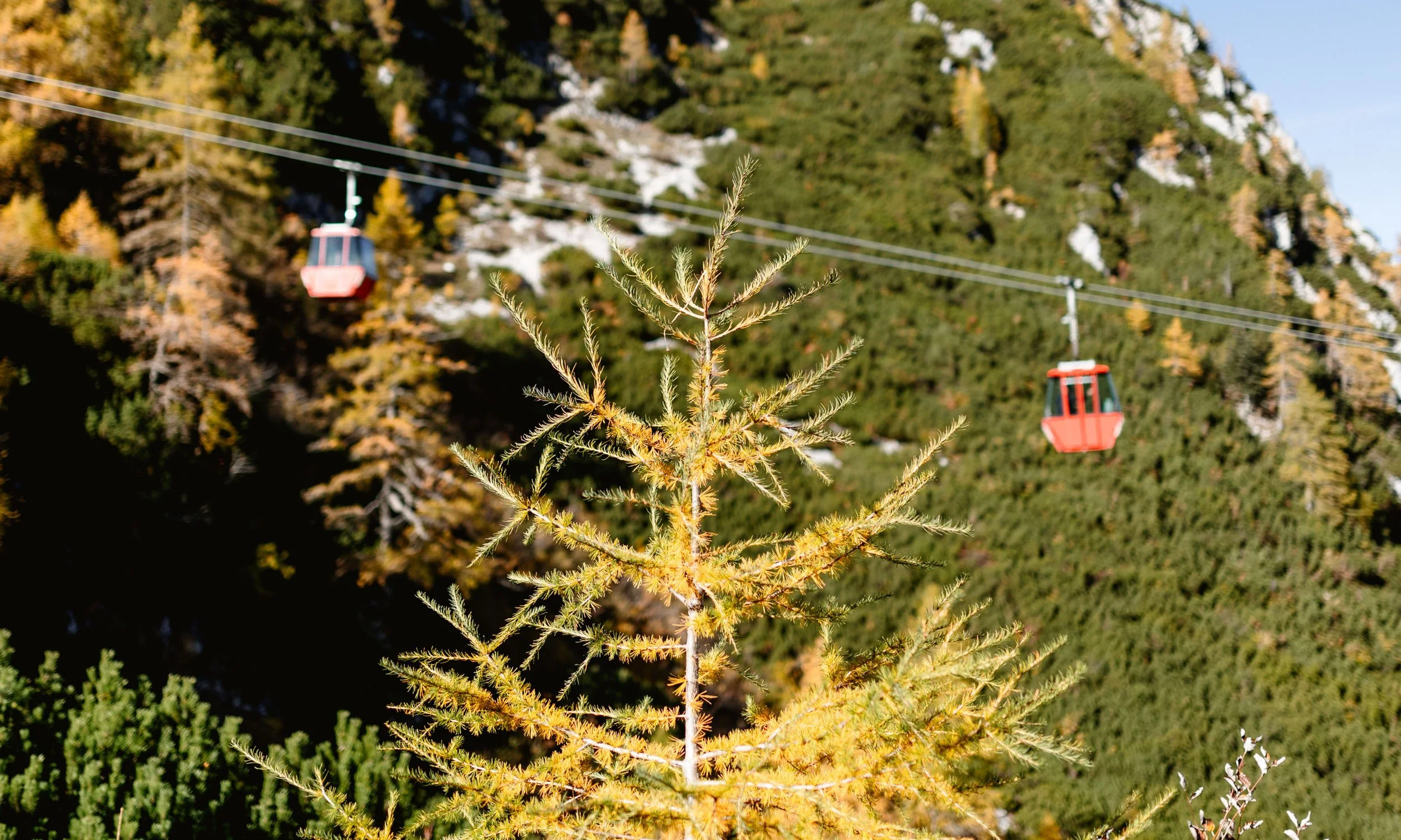 katrin-seilbahn-herbstwanderungen.jpg