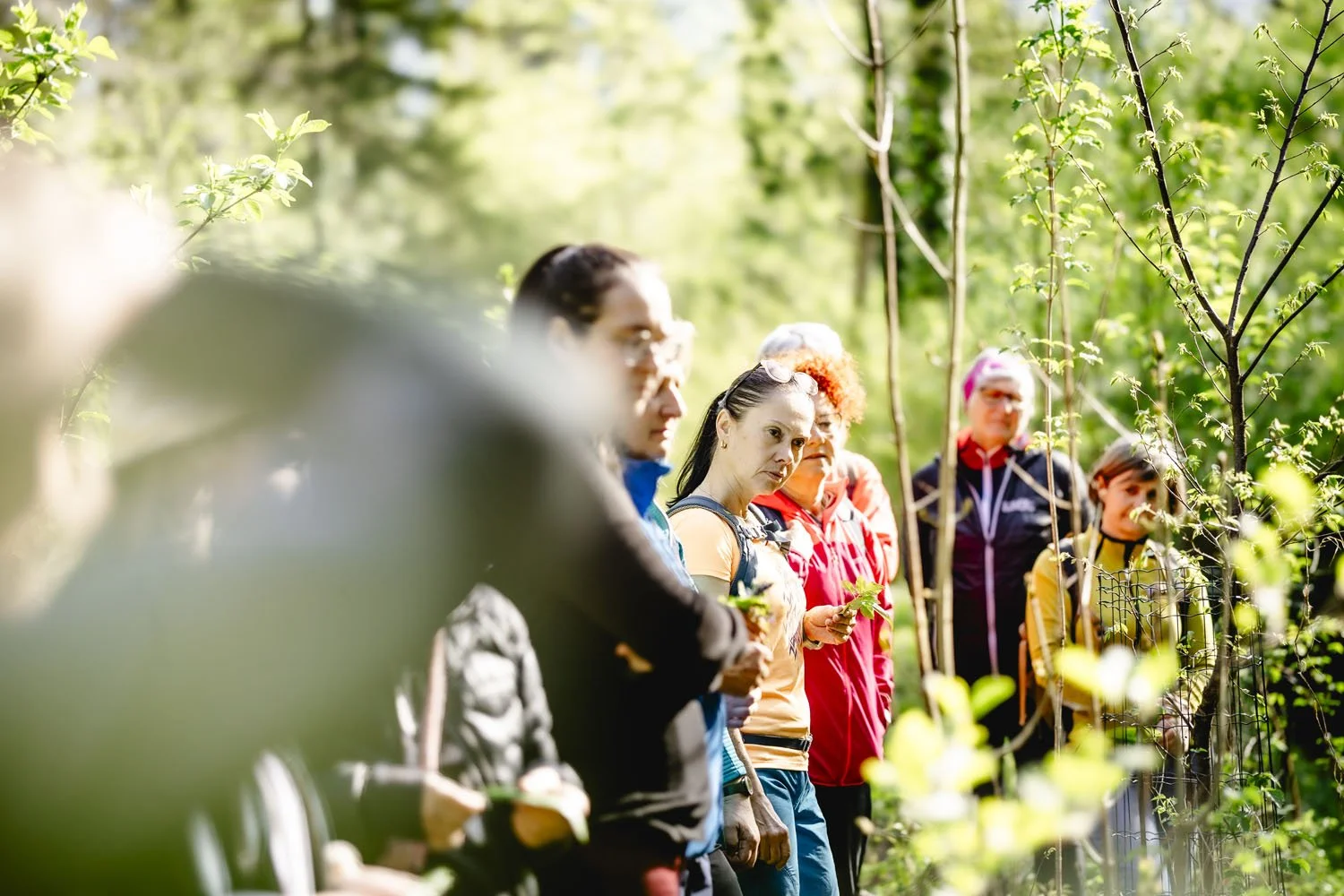 kräuterwanderung010©bettinagangl (1).jpg