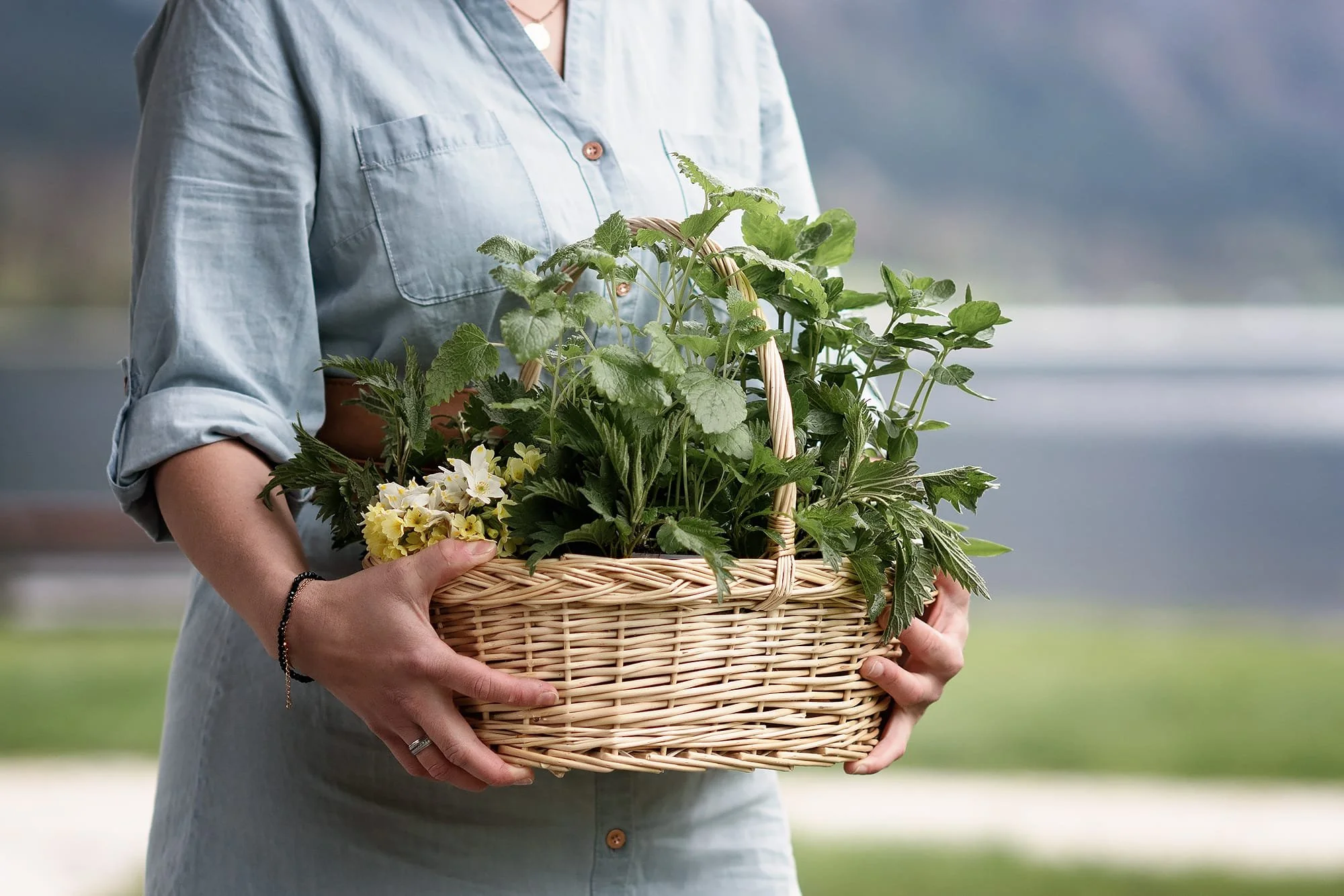 WhatsApp Image 2026-01-22 at 09.13.44(1).jpeg