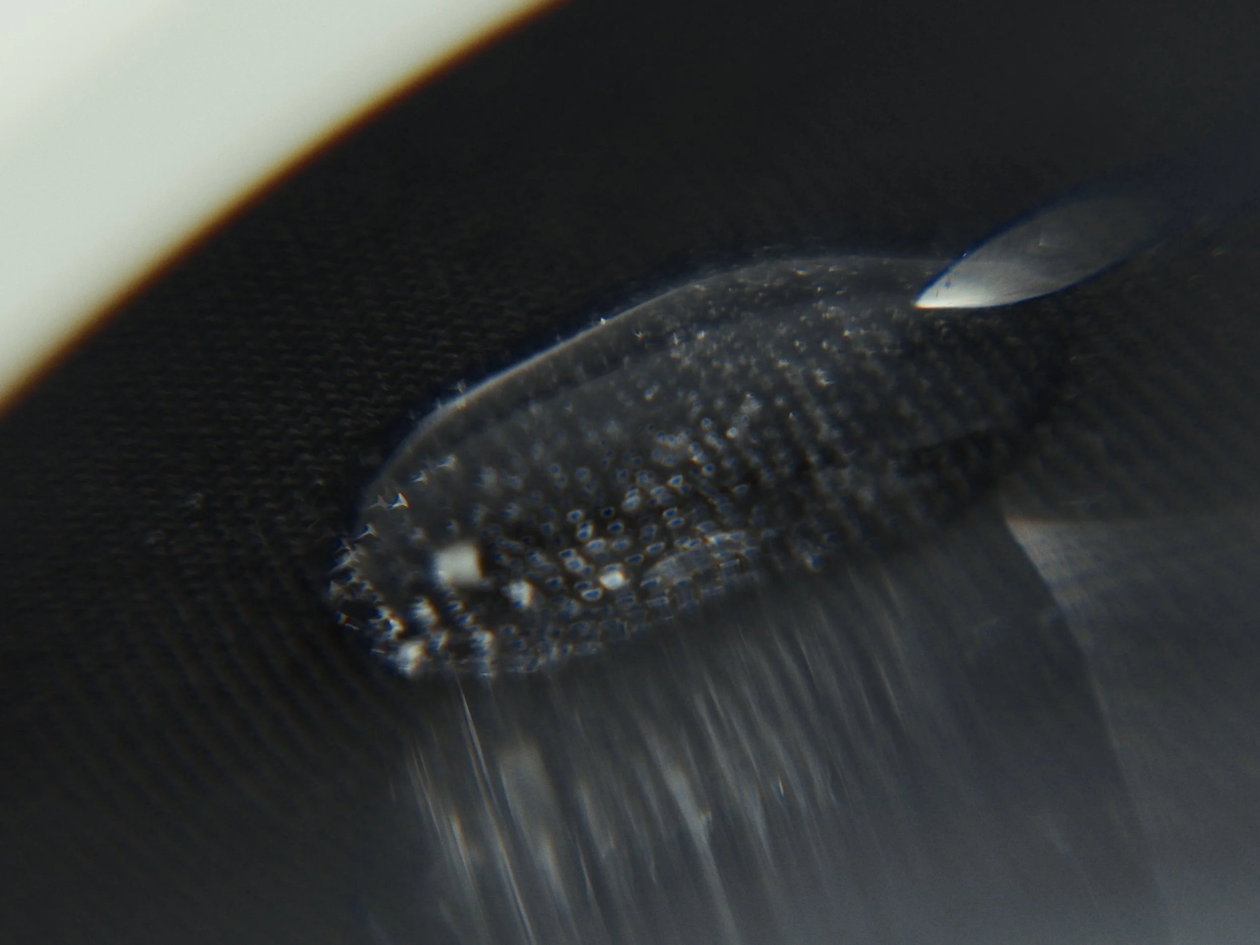 mPower_1.141.2.jpg