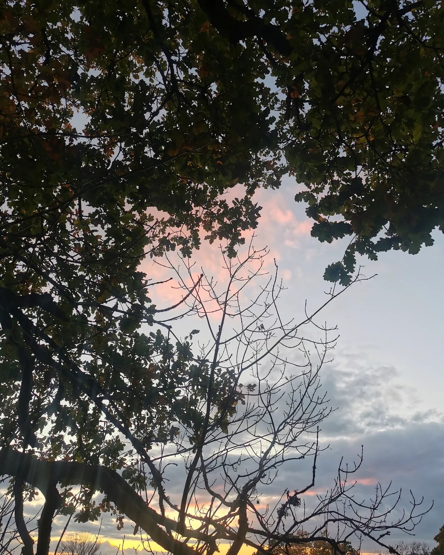 ||SOLITUDE||
This little trip I took last week was so delicious and the solitude so lovely - I wanted to share of few of the moments with you all. 
If you've been thinking about taking some INTENTIONAL solitude but feel fearful or unsure, I would H