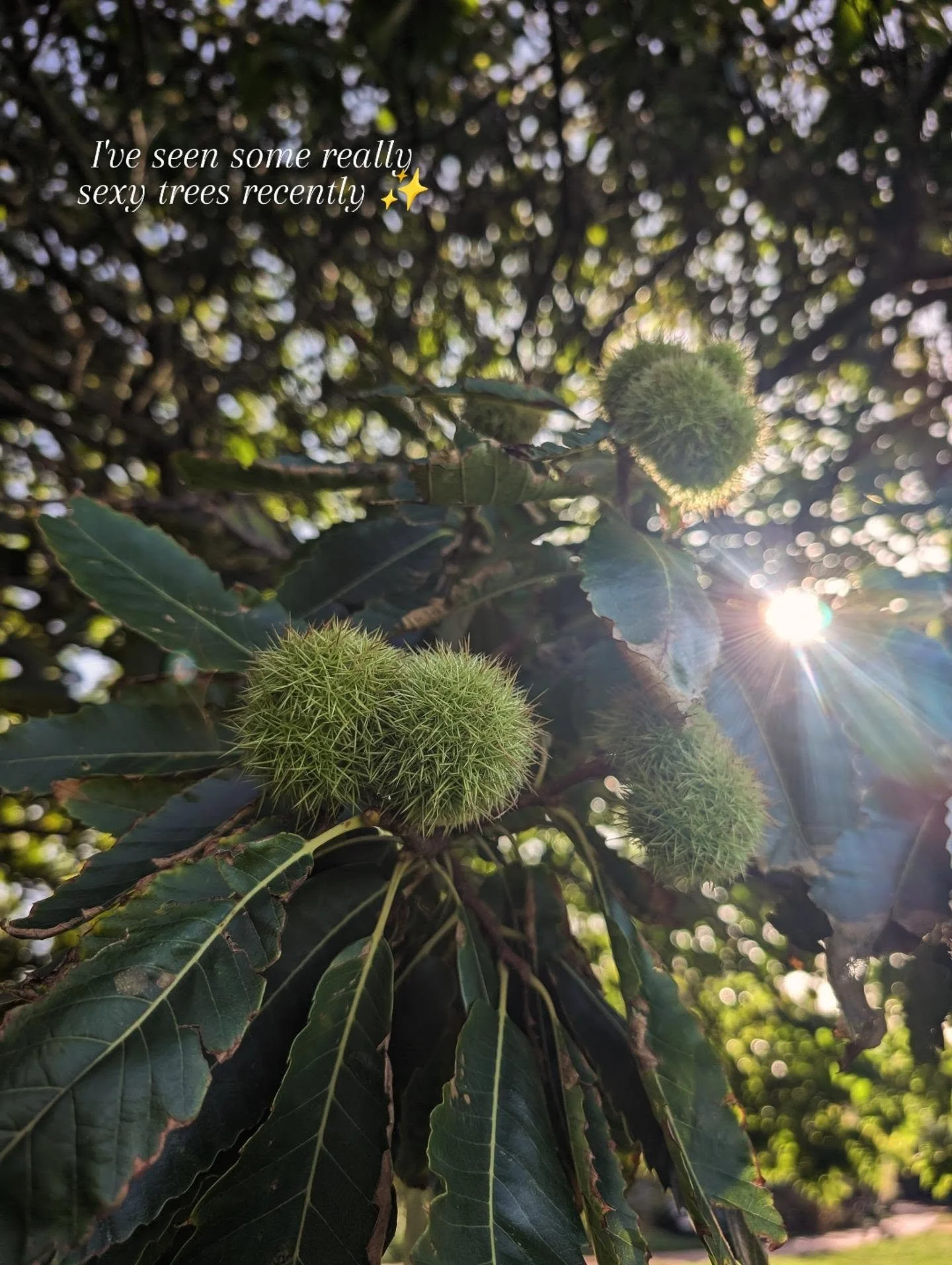 I heard a concept recently that is all about finding more awe in life...it's good for you after all. 

It's a practice called the The Awe Walk, and awe researches use it to help study the effects of awe.

Essentially you go on a walk, and notice natu