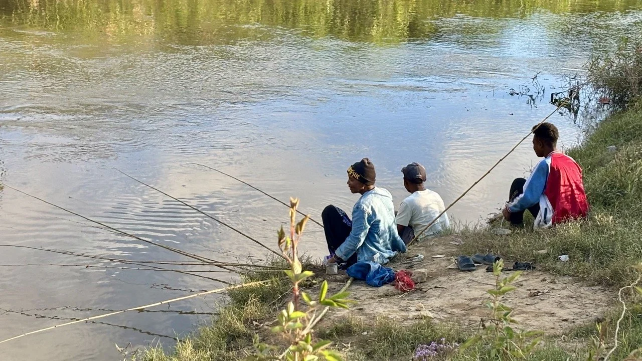 雨林地表色彩盤：落葉、苔蘚與菌類的色彩研究；Forest floor color palette — leaves, moss and fungi texture study.